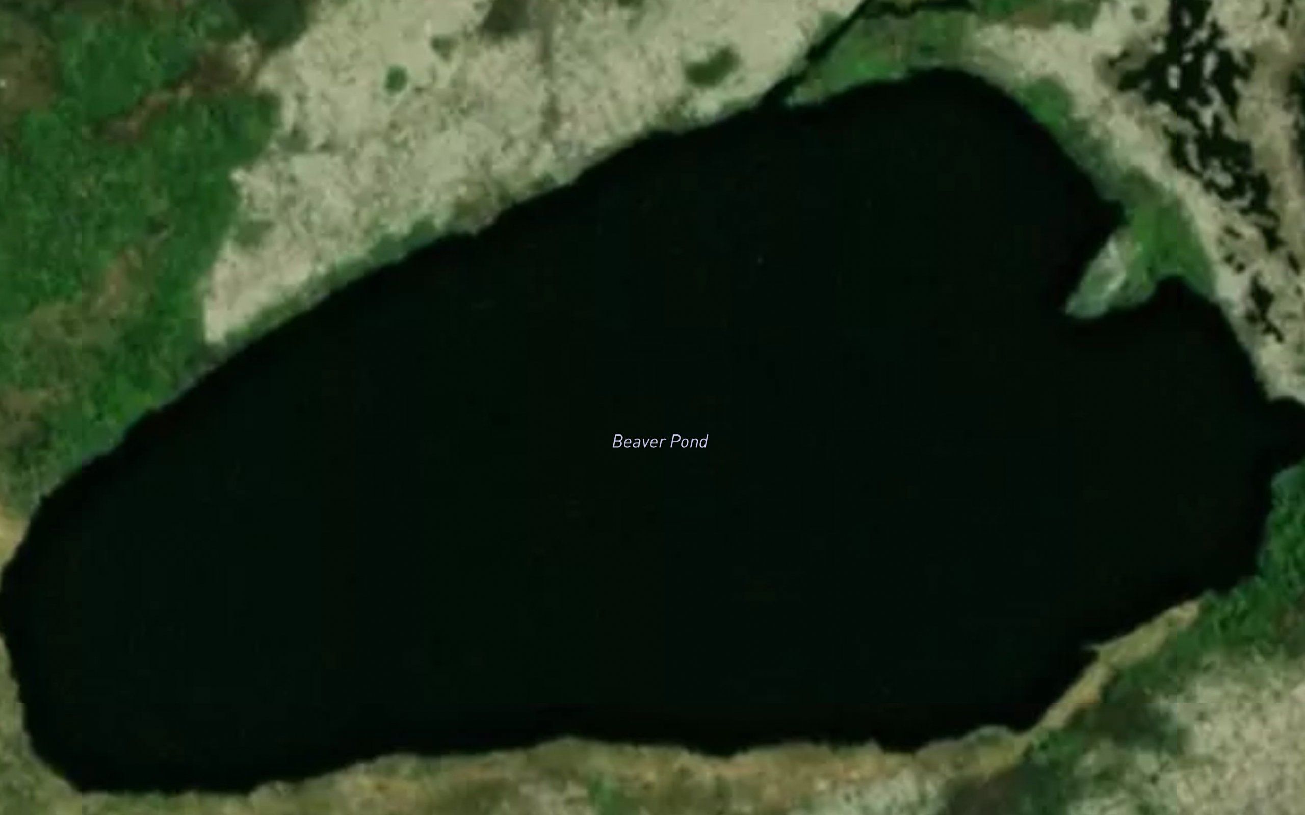 Beaver Pond