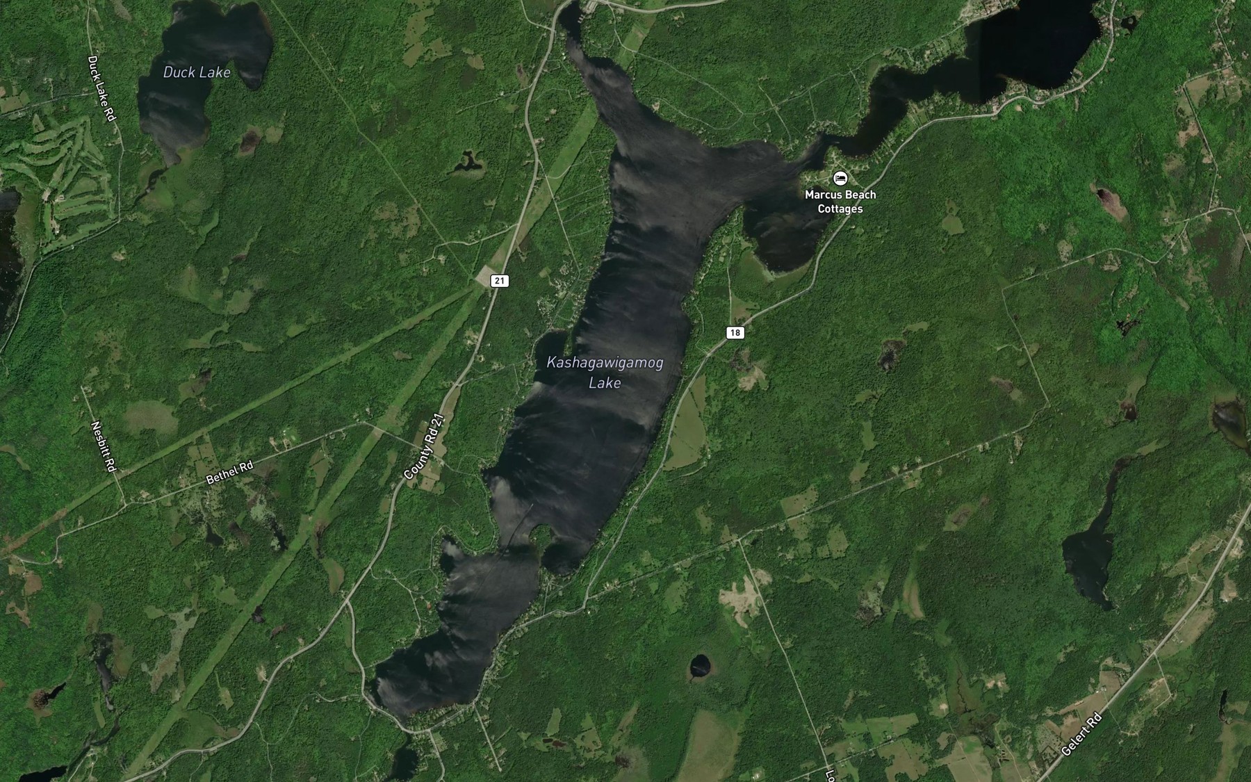 Satellite map of the Kashagawigamog Lake
