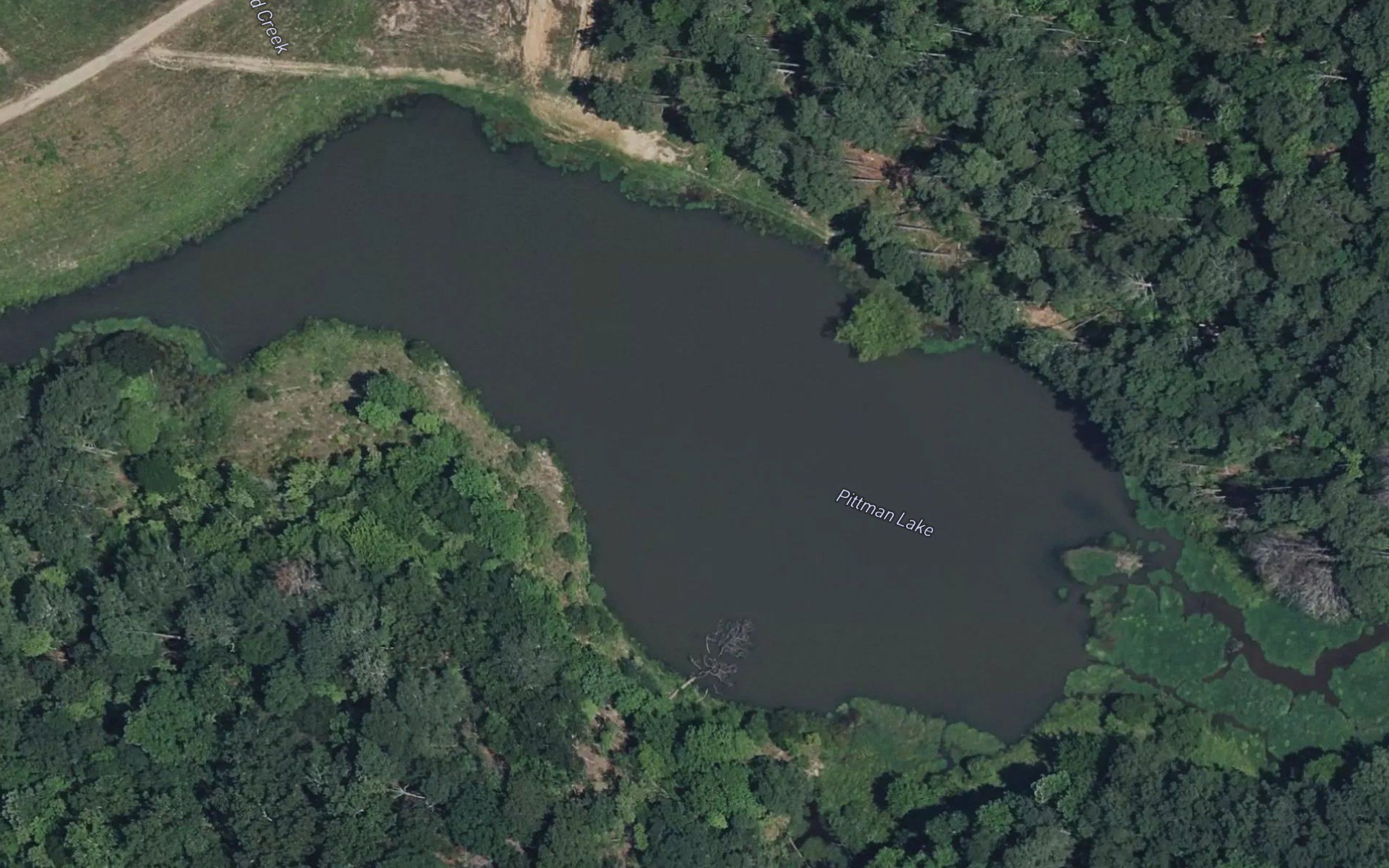 Pittman Lake