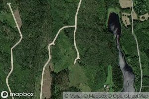 Natkinoja