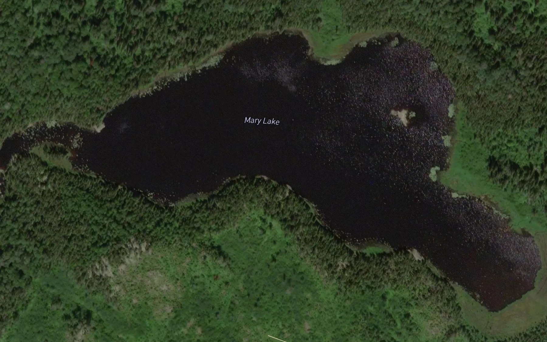 Satellite map of the Mary Lake