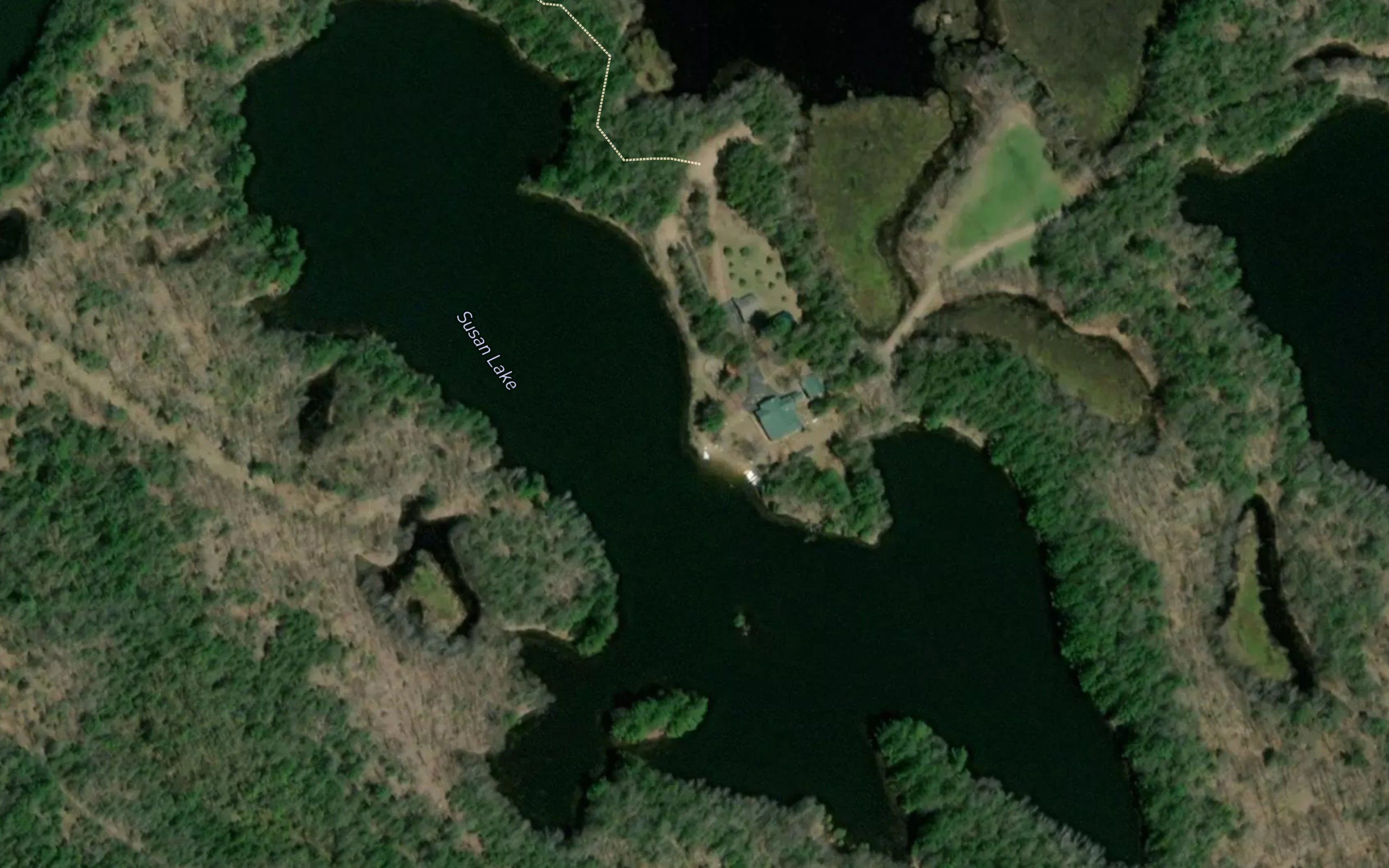 Susan Lake