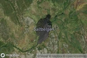 Saltbelgen