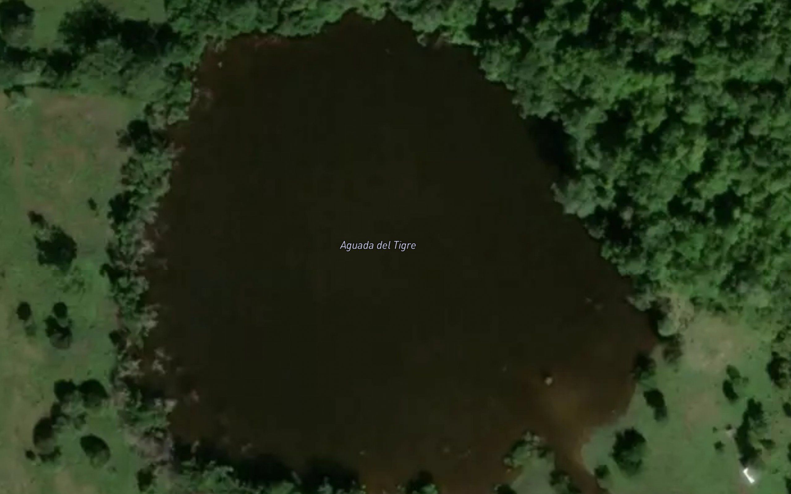 Aguada del Tigre