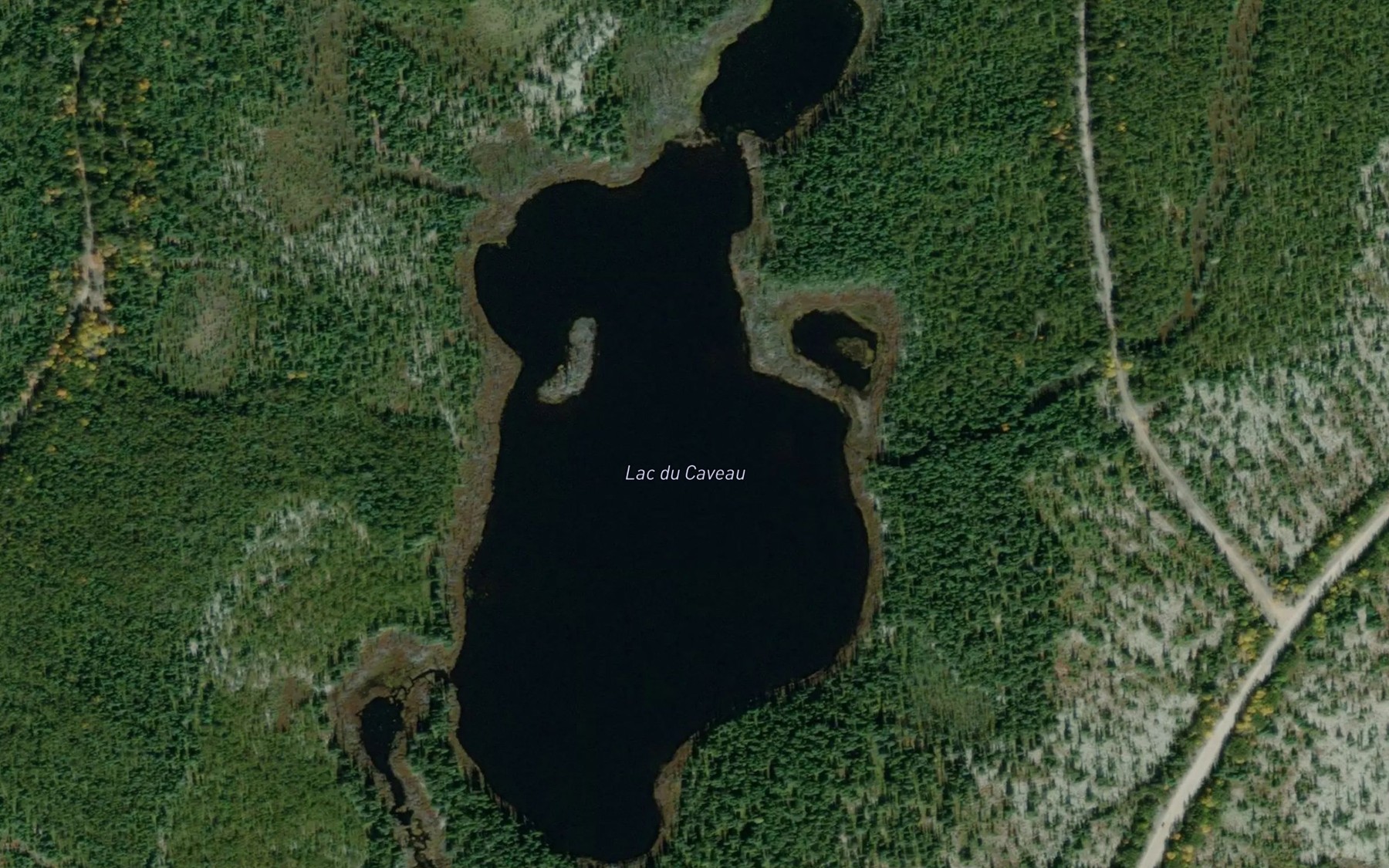Satellite map of the Lac du Caveau