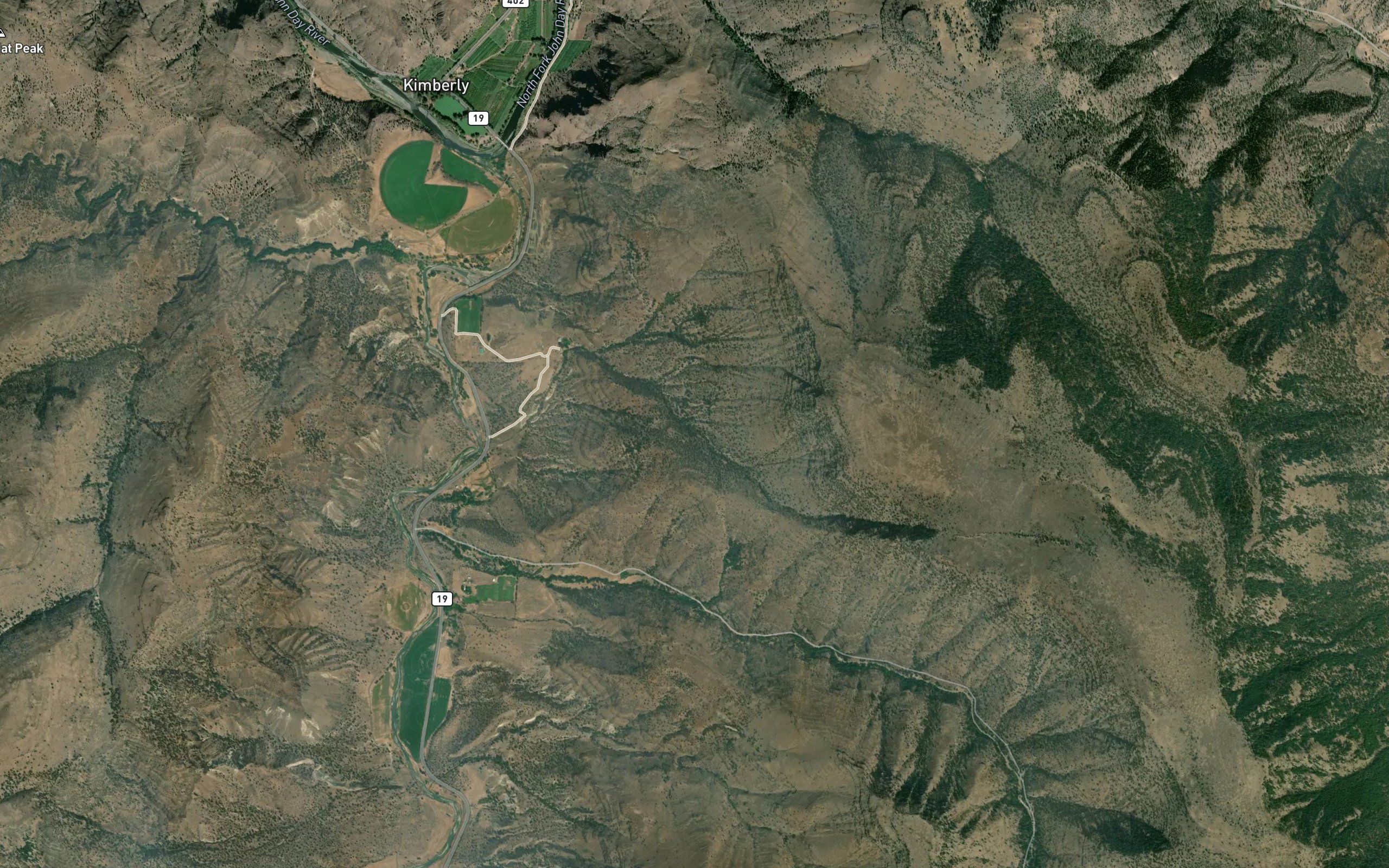 Junction Springs