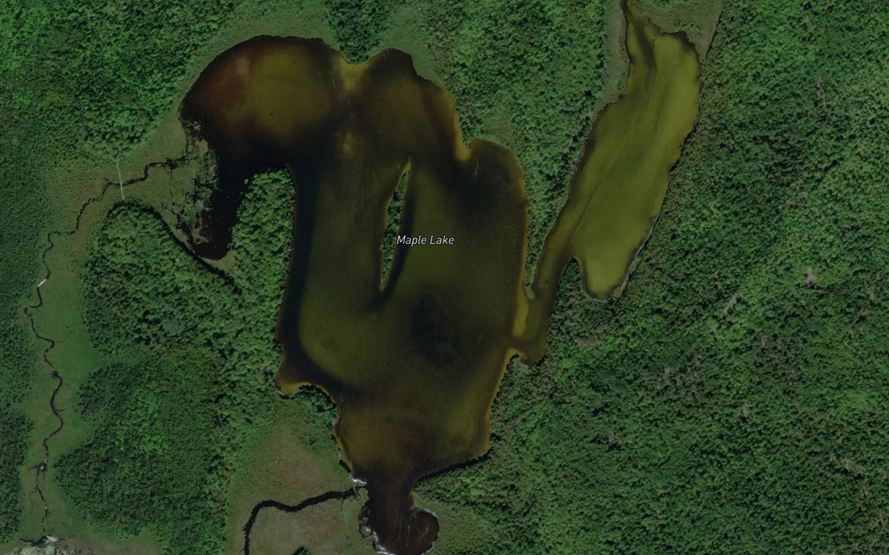 Satellite map of the Maple Lake