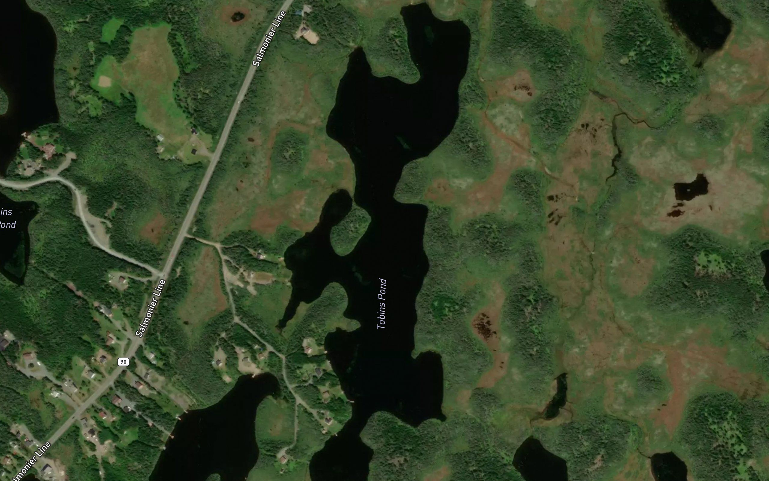Tobins Pond