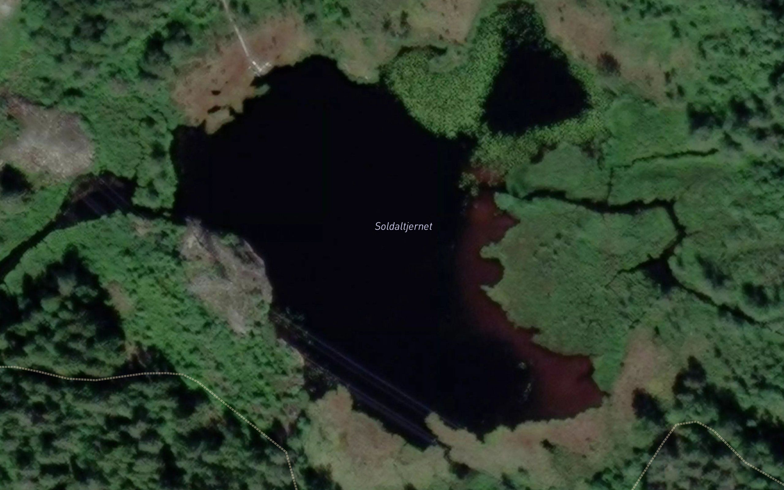 Soldaltjern