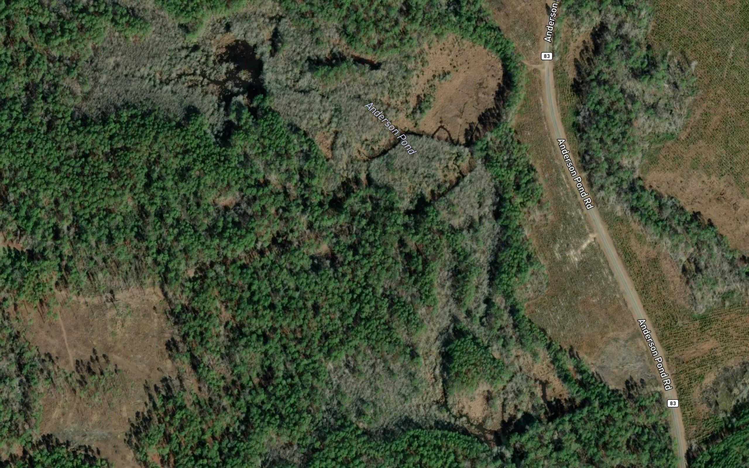Anderson Pond