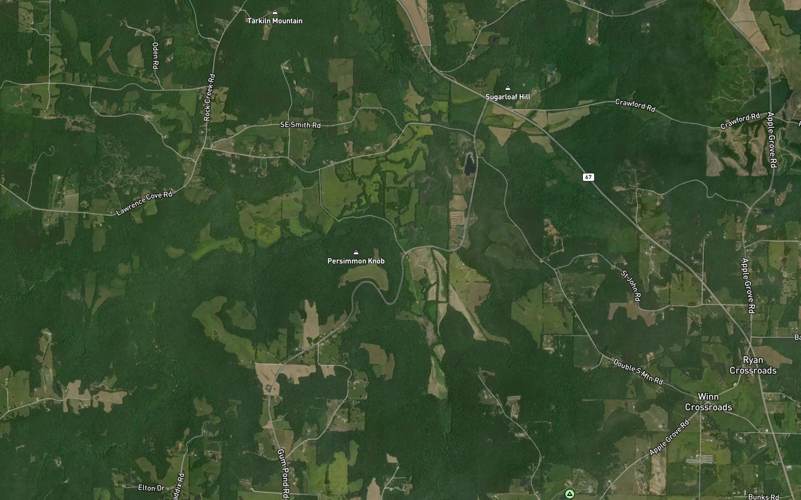 Persimmon Knob Spring