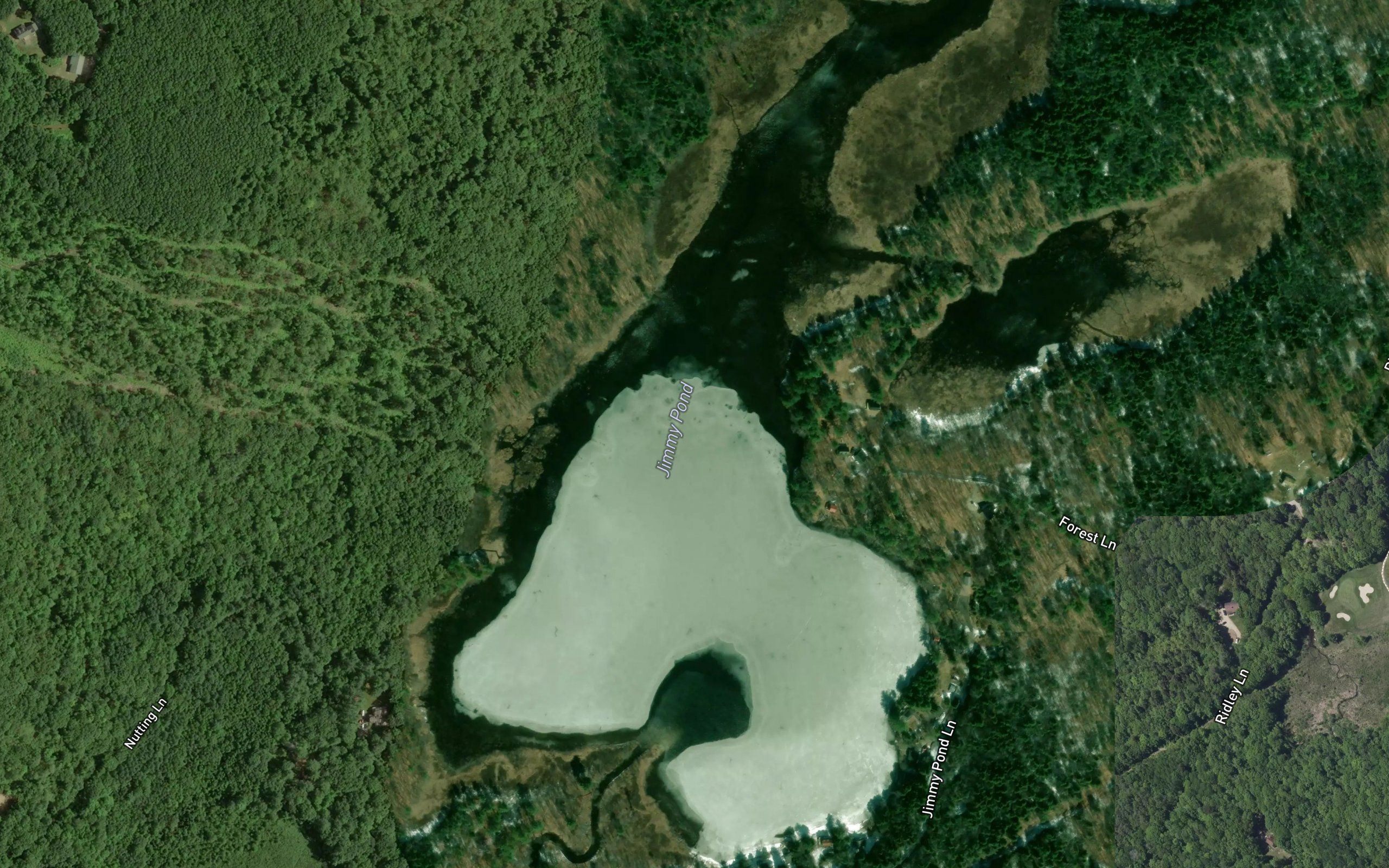 Jimmy Pond