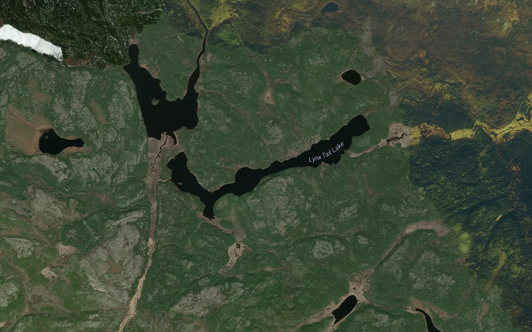Satellite map of the Lynx Tail Lake