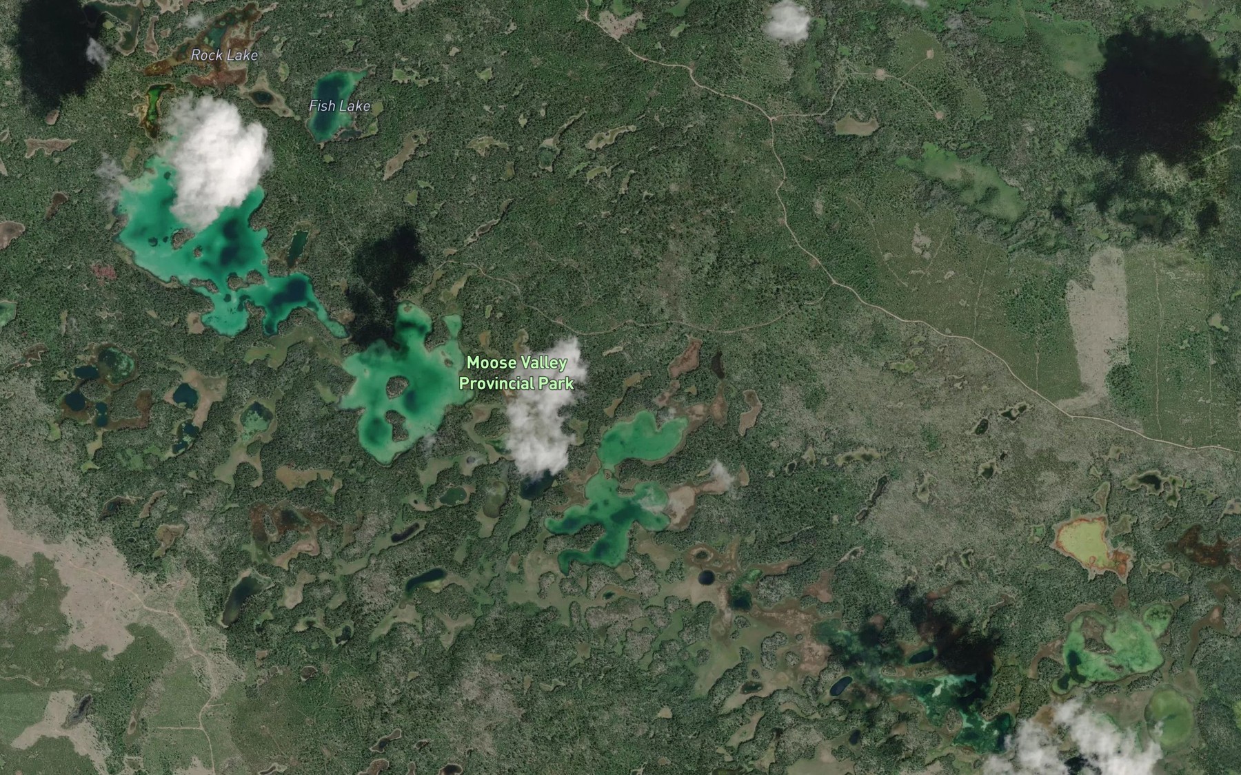 Satellite map of the Crane Lakes