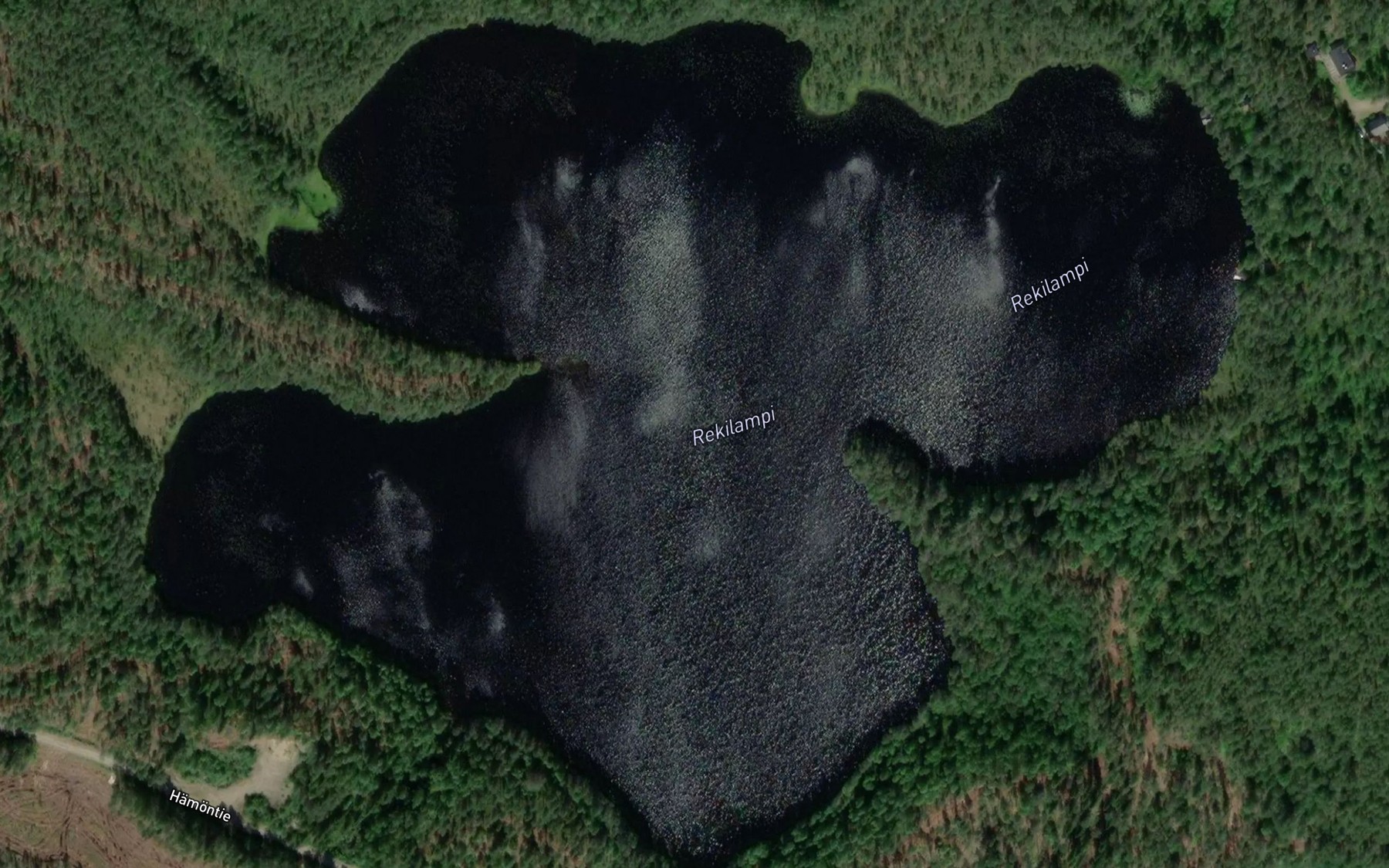 Satellite map of the Rekilampi