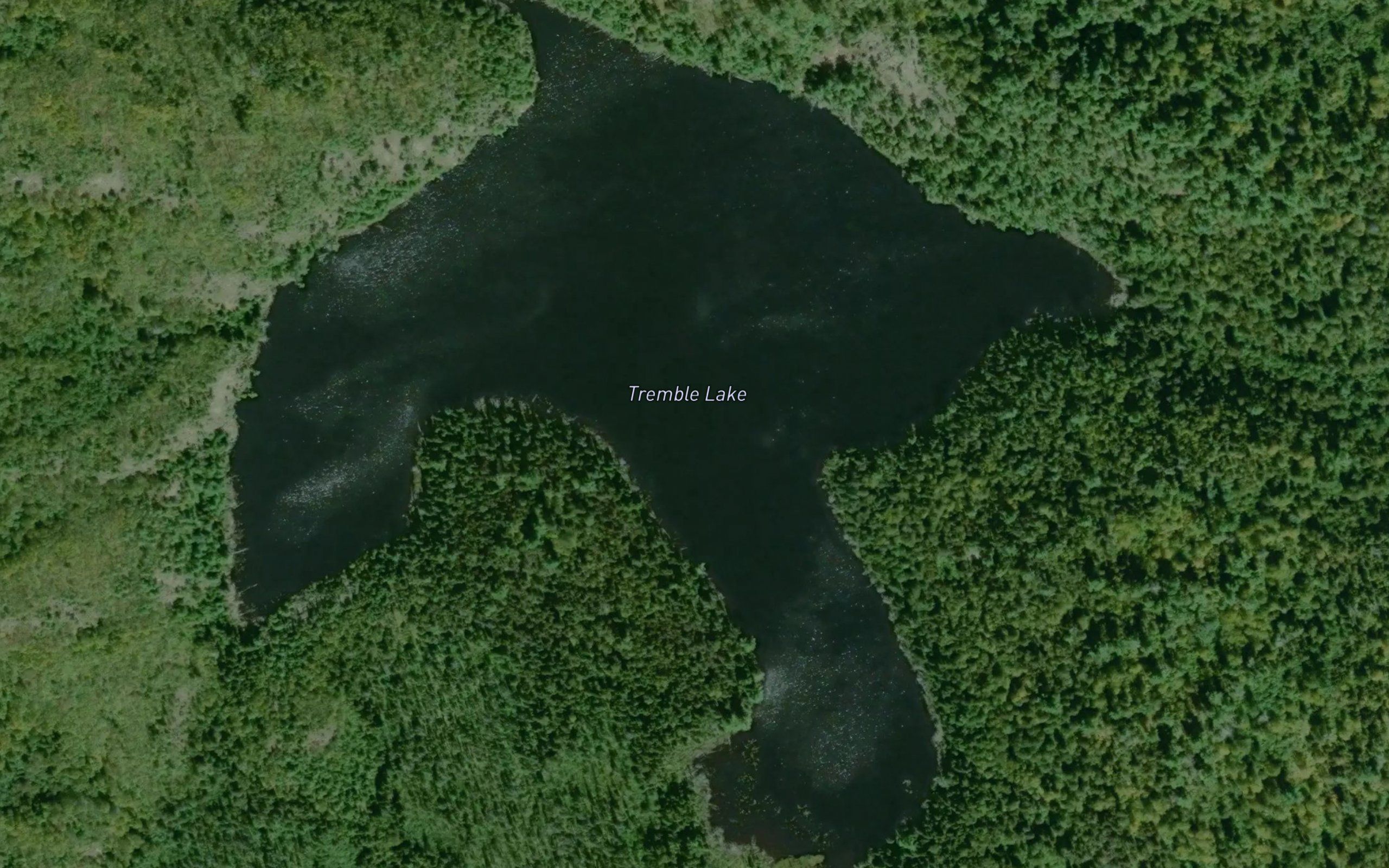 Tremble Lake