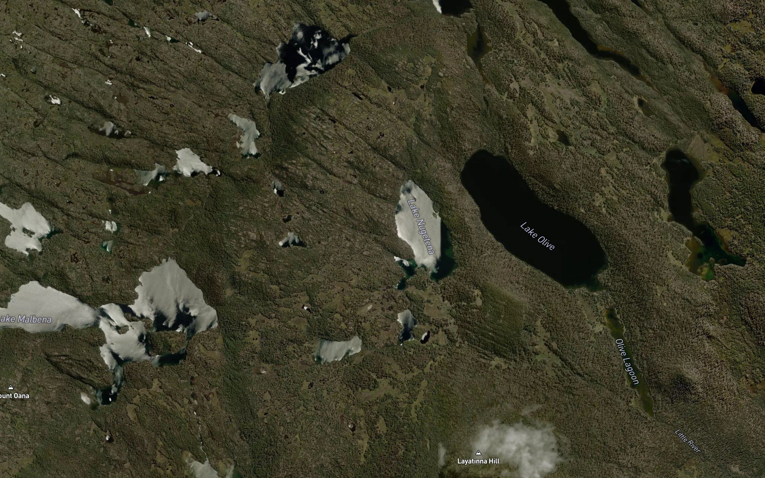 Mary Tarn