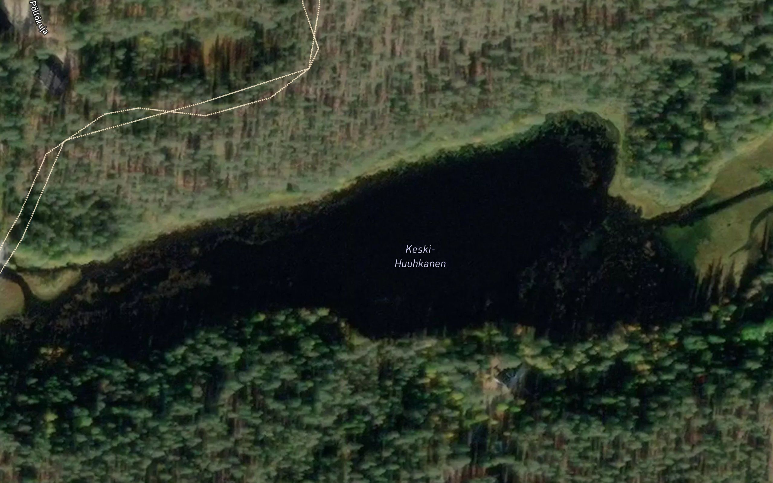 Huuhkaset