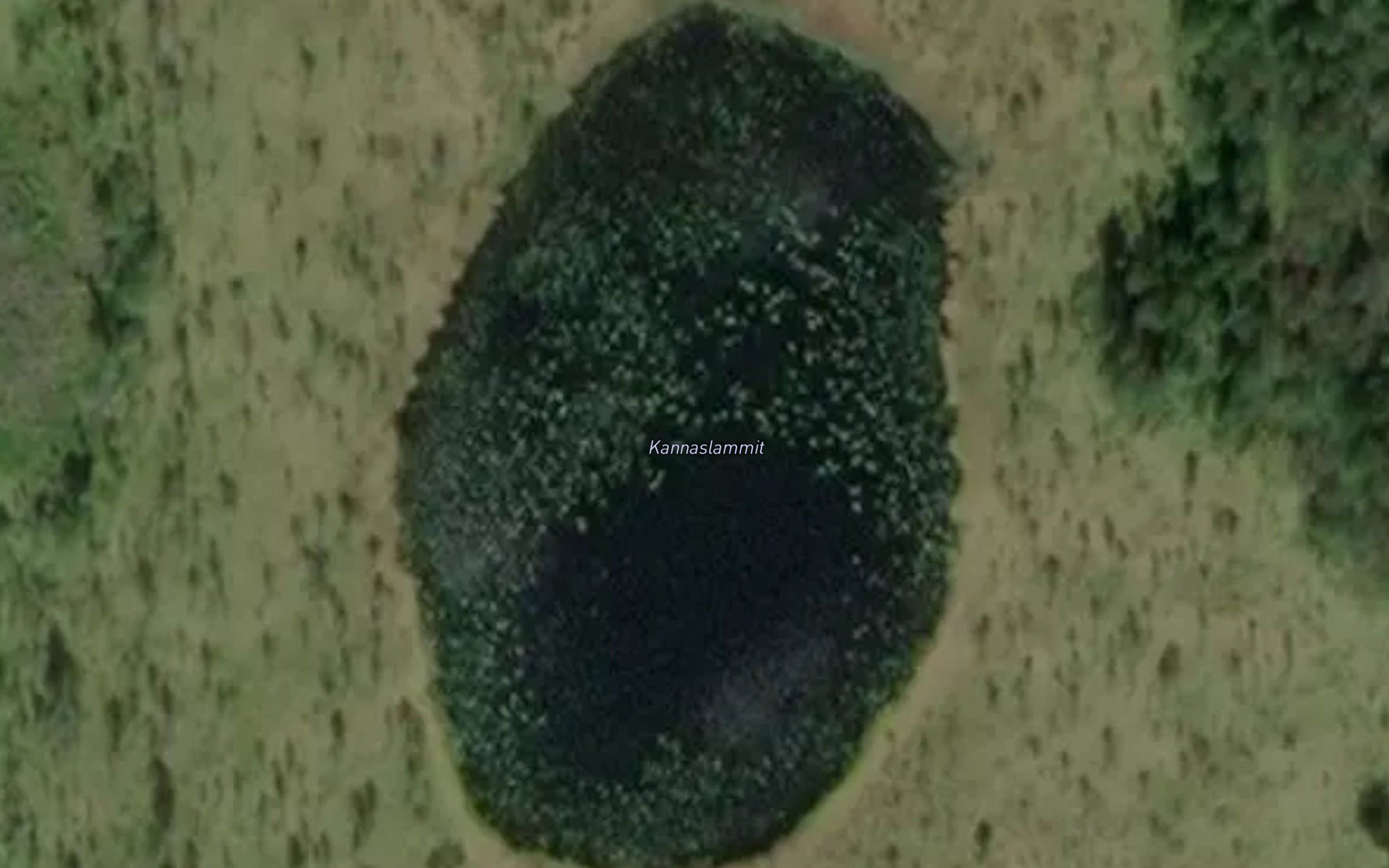Kannaslammit