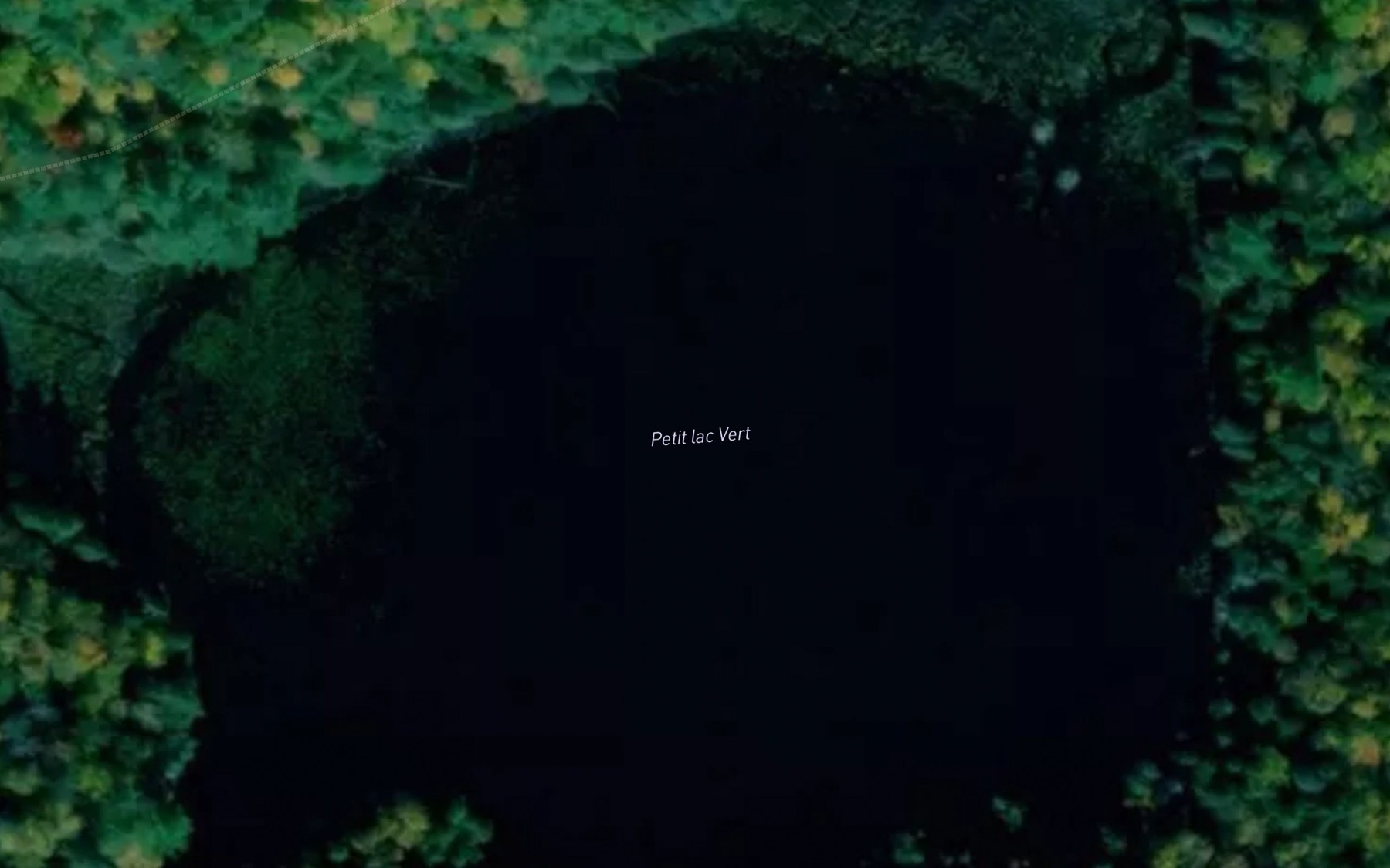 Satellite map of the Petit lac Vert