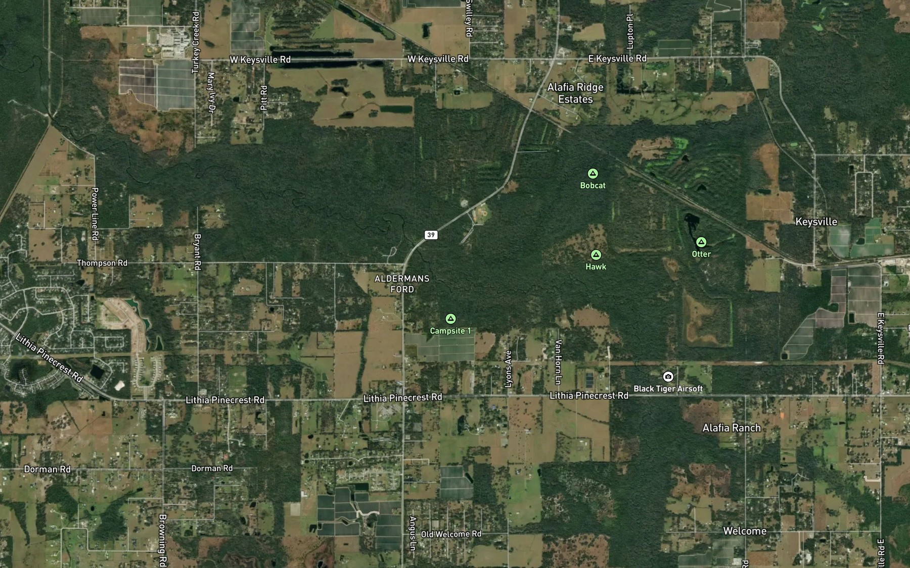 Satellite map of the North Prong Alafia River