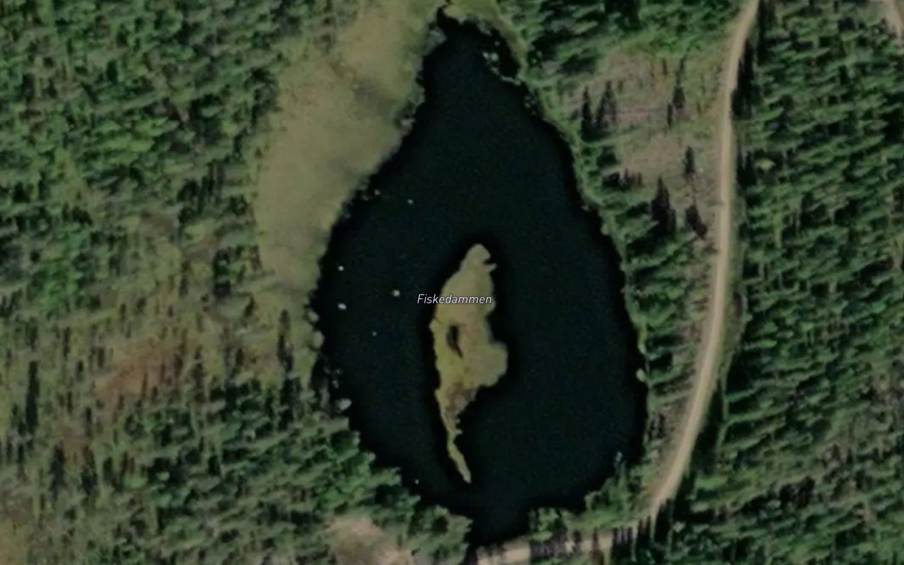 Satellite map of the Fiskedammen
