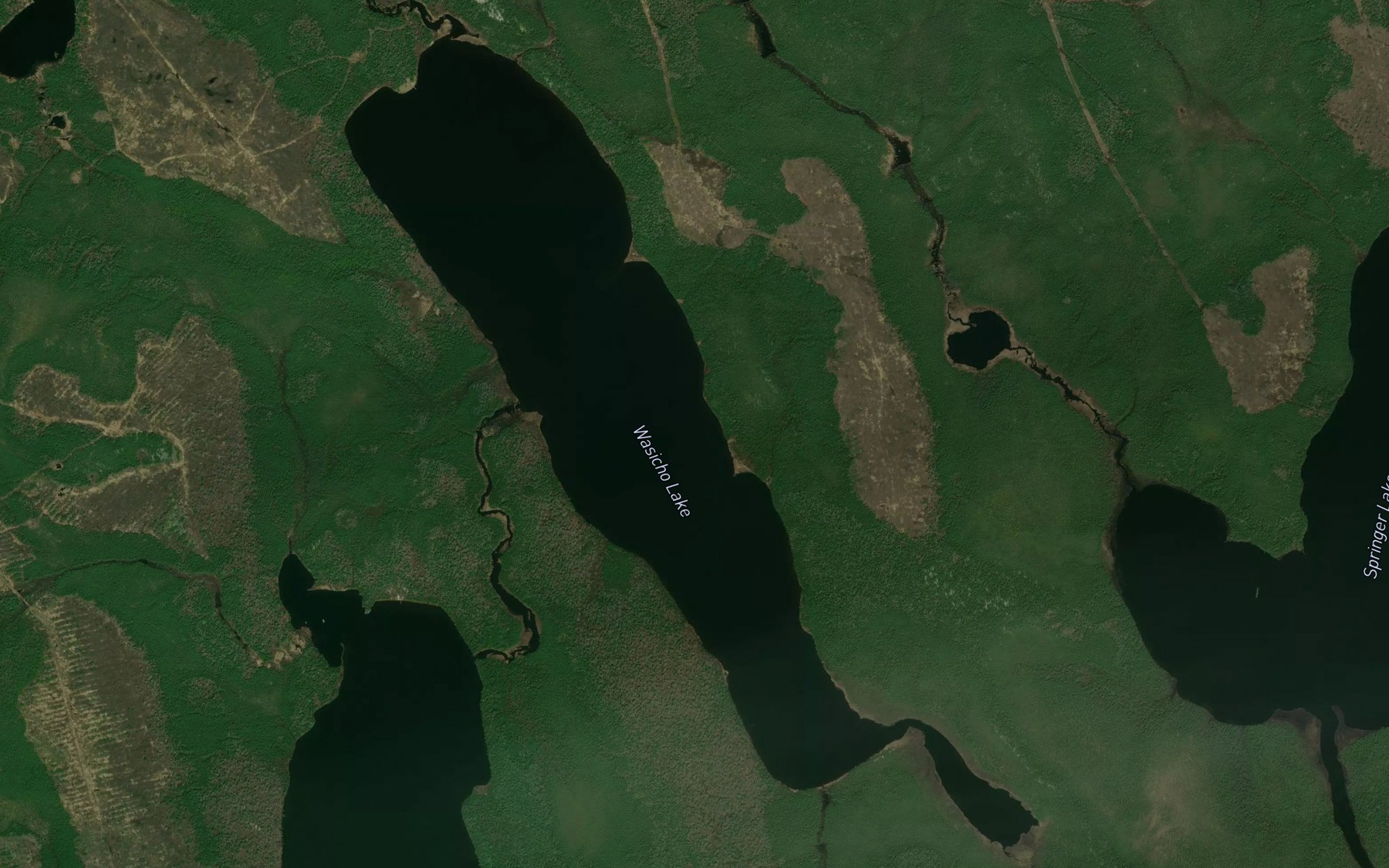Satellite map of the Wasicho Lake