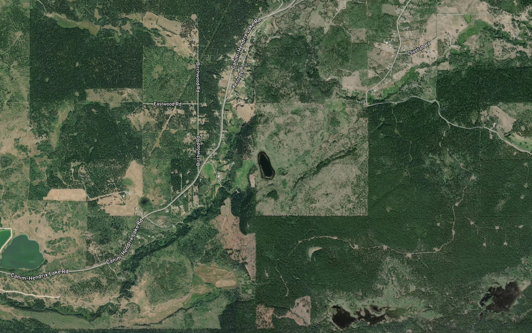 Satellite map of the Camel Lake