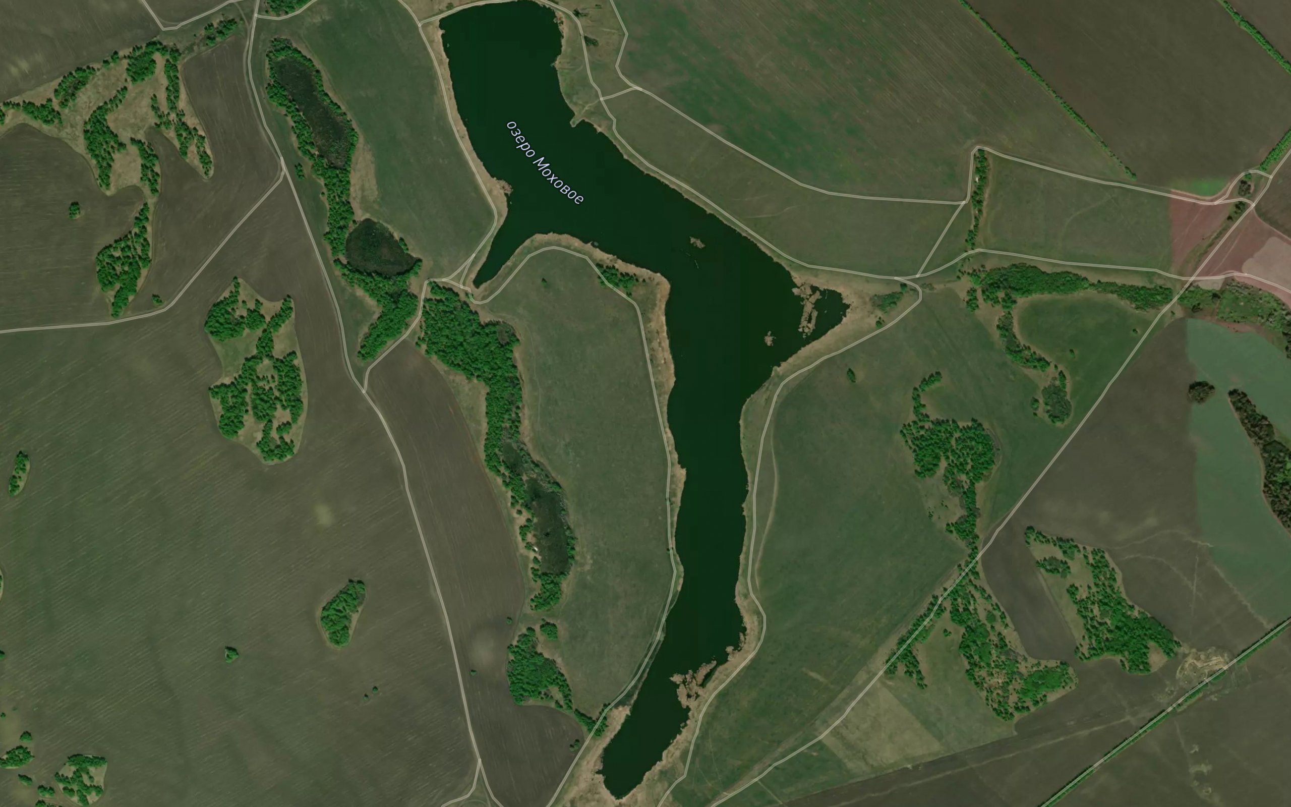 Ozero Mokhovoye