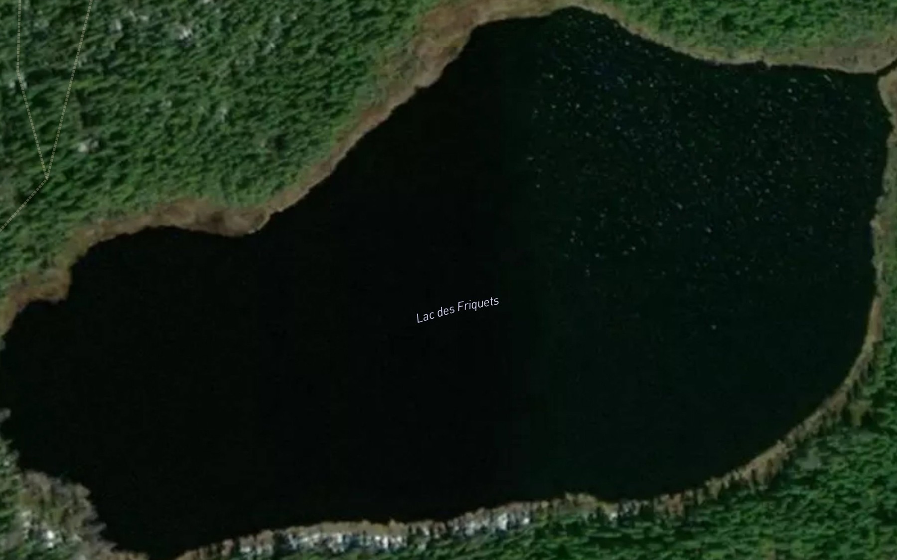 Satellite map of the Lac des Friquets
