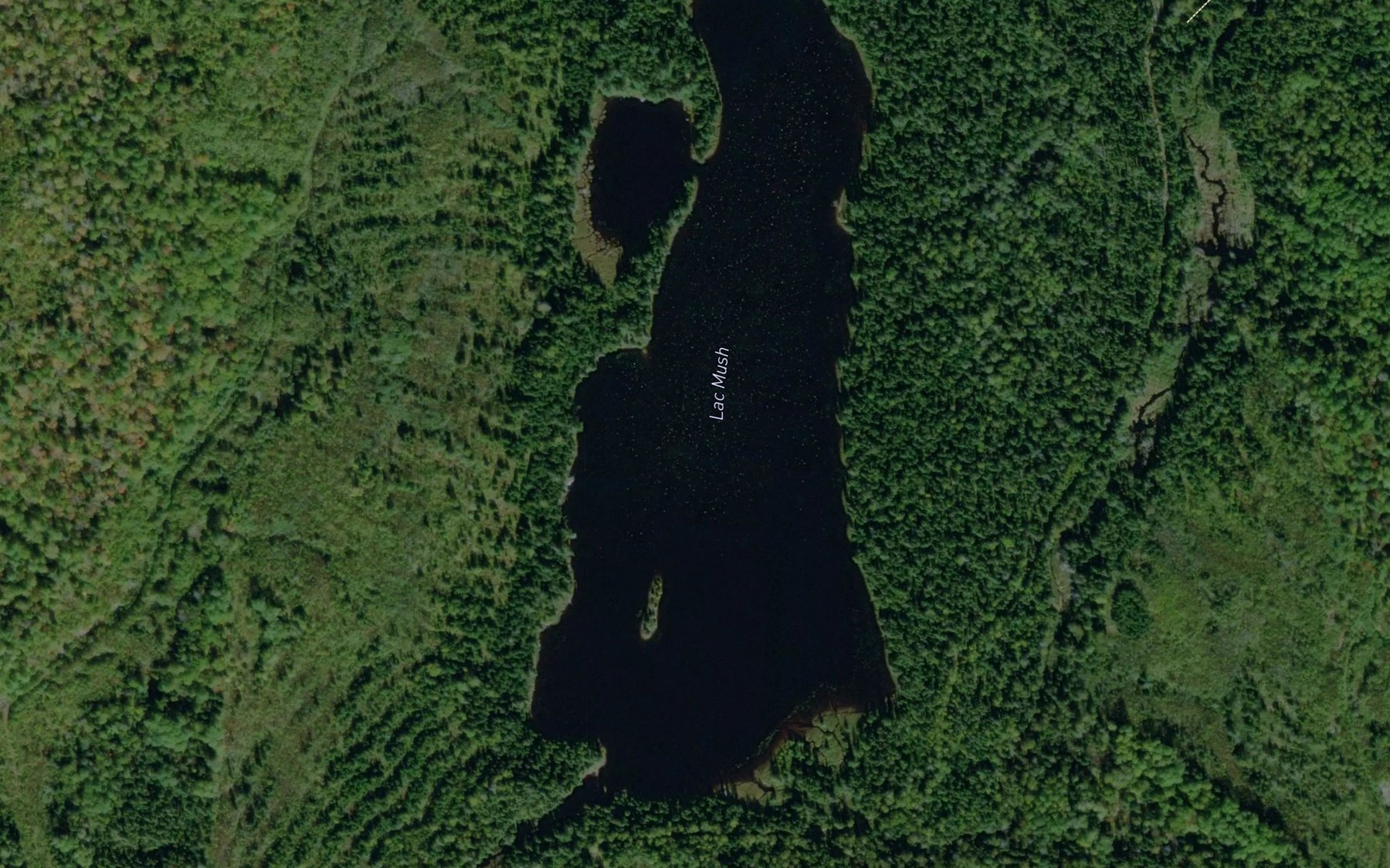 Satellite map of the Lac Mush