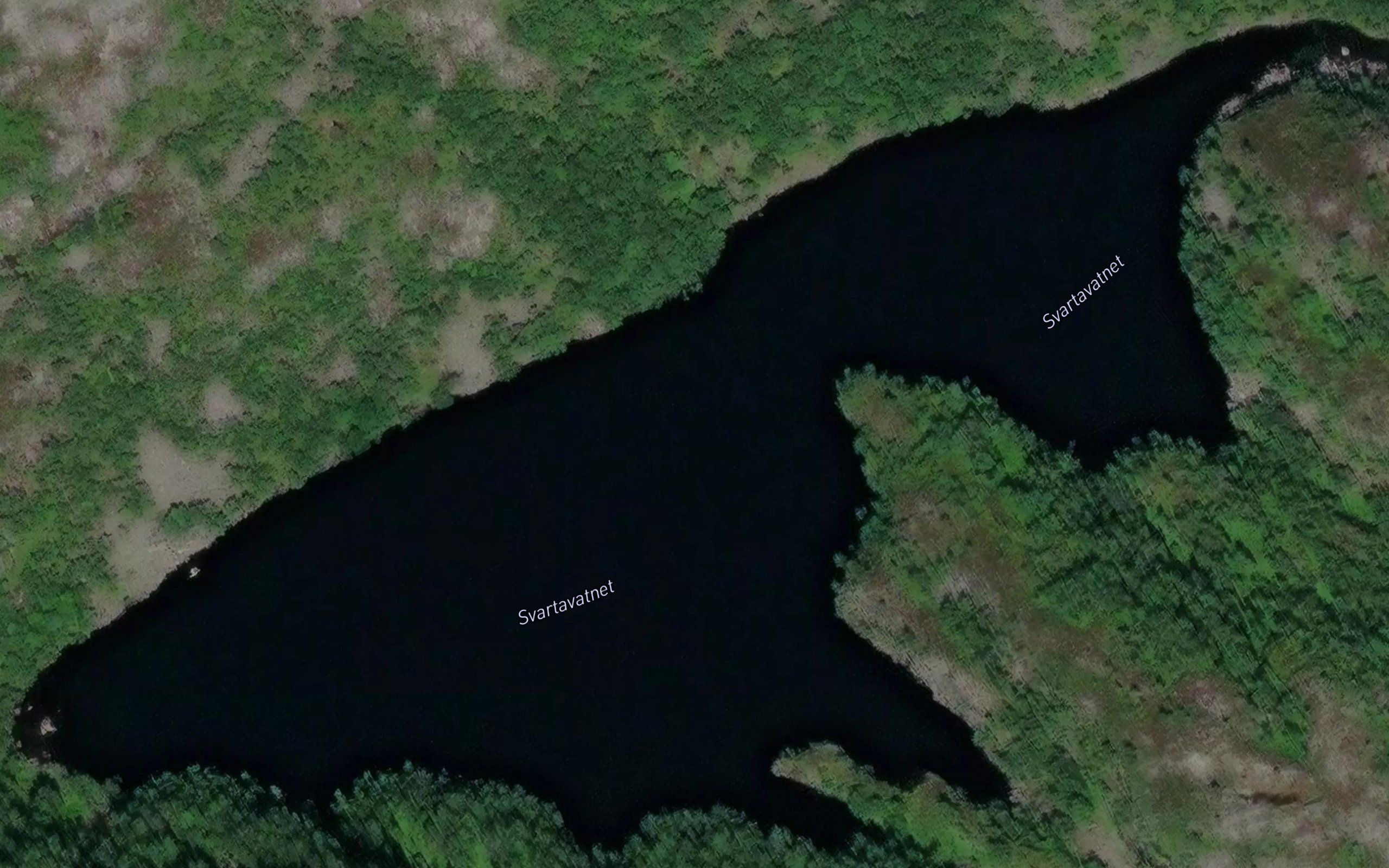 Svartavatnet