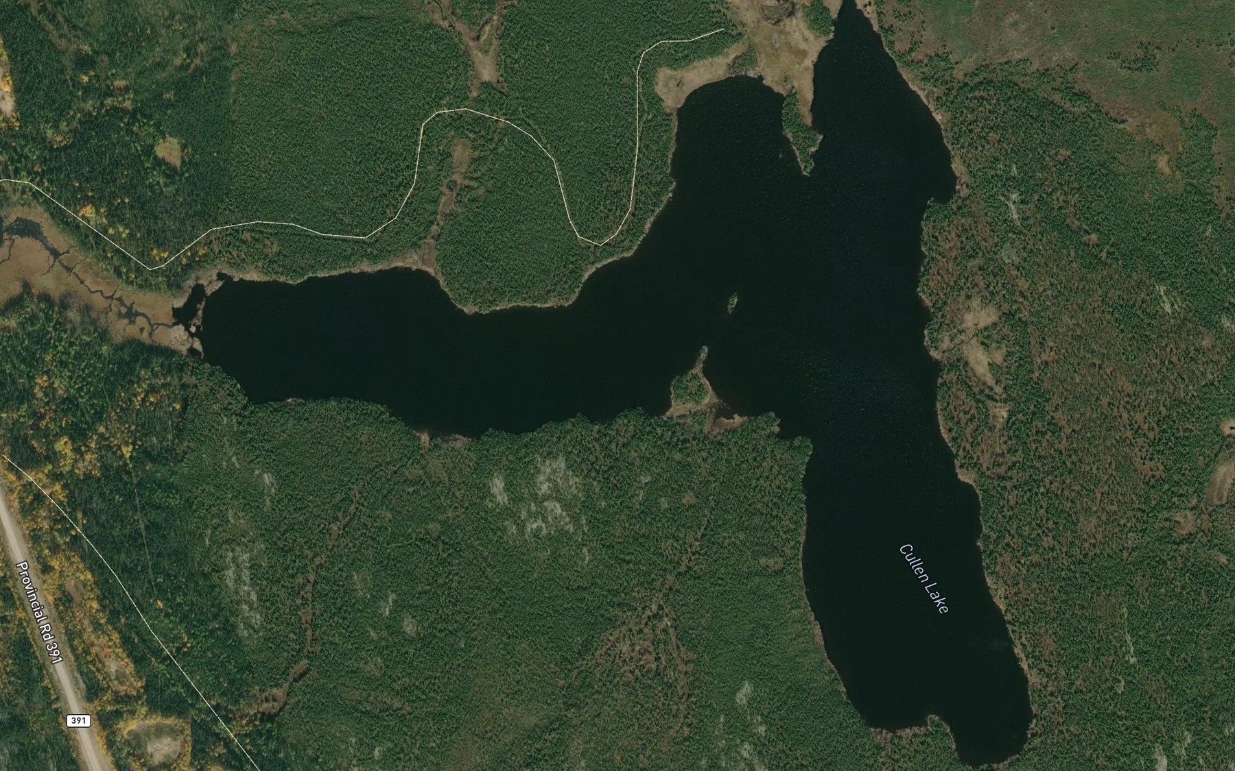 Satellite map of the Cullen Lake