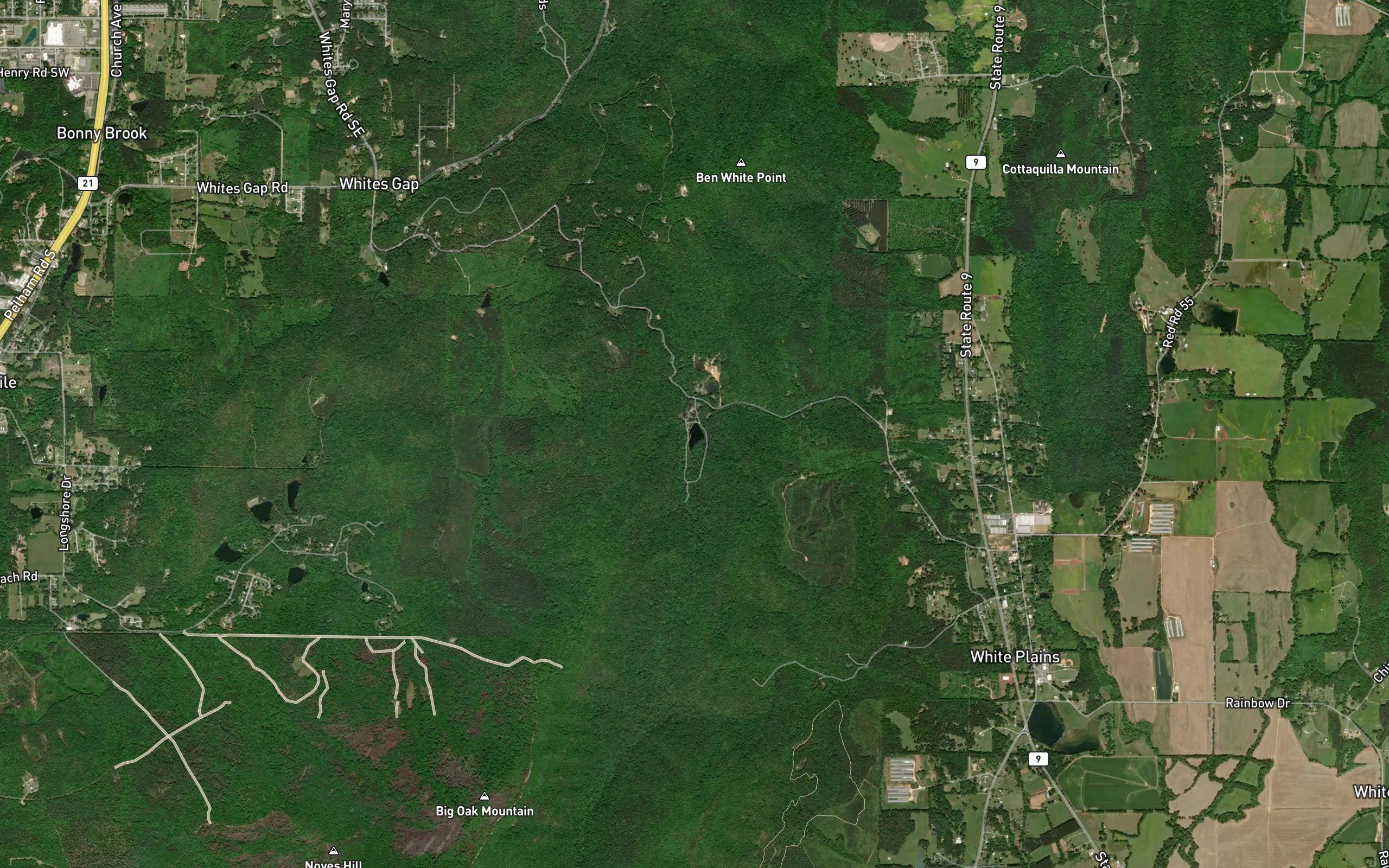 Lake Cottaquilla