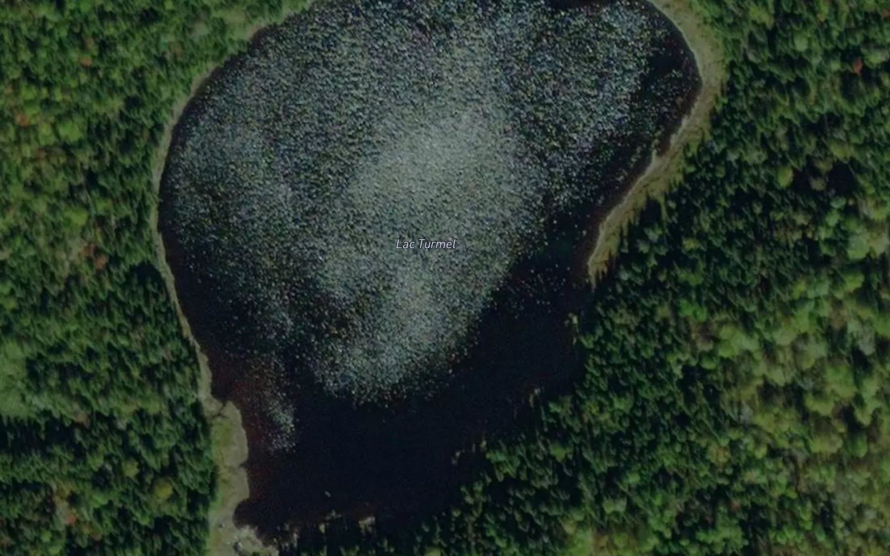 Satellite map of the Lac Turmel