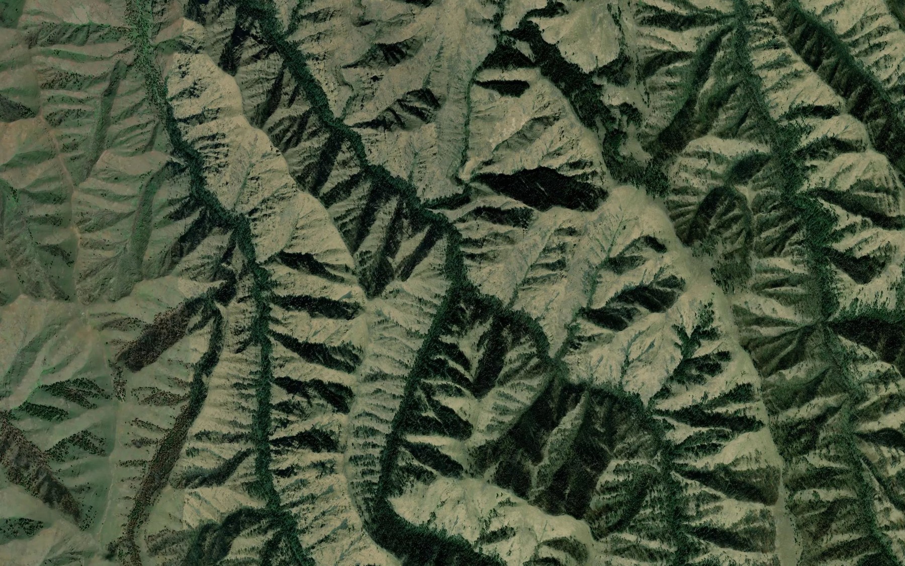 Satellite map of the Medicine Creek