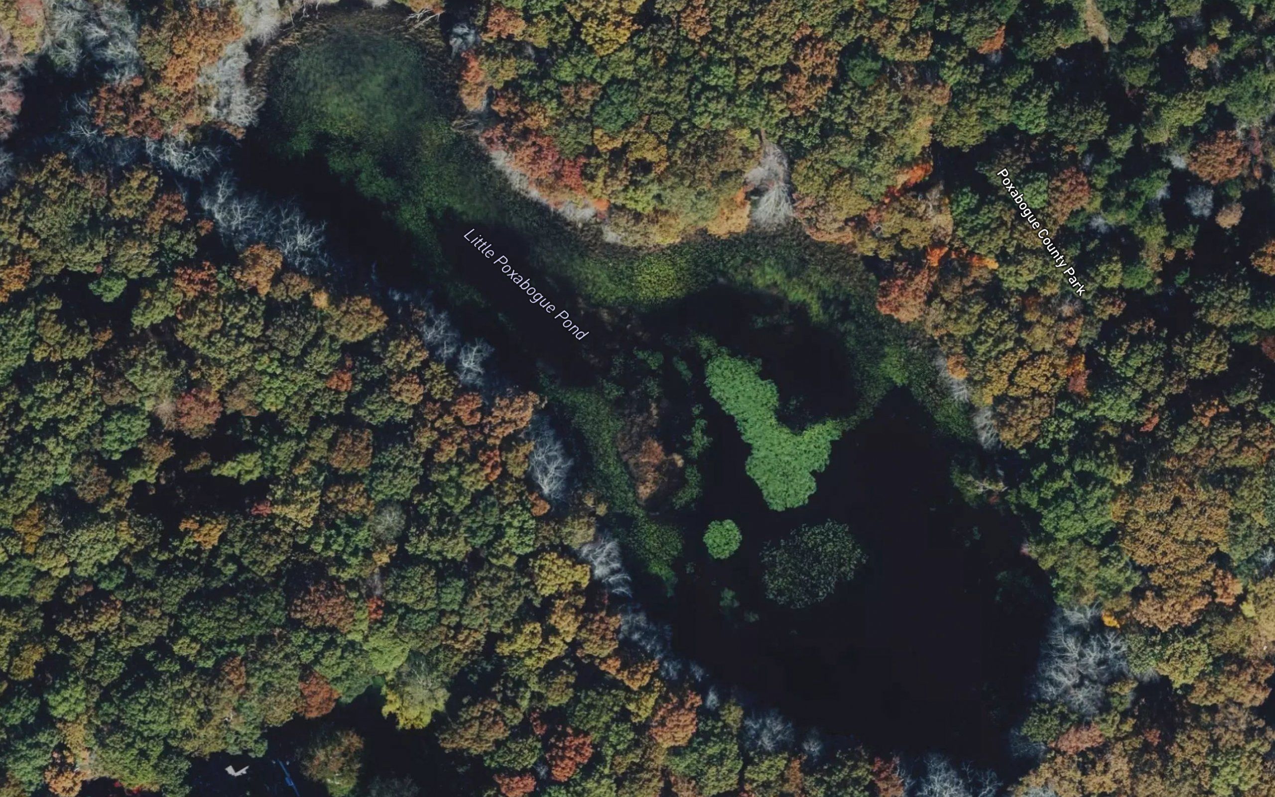 Little Poxabogue Pond