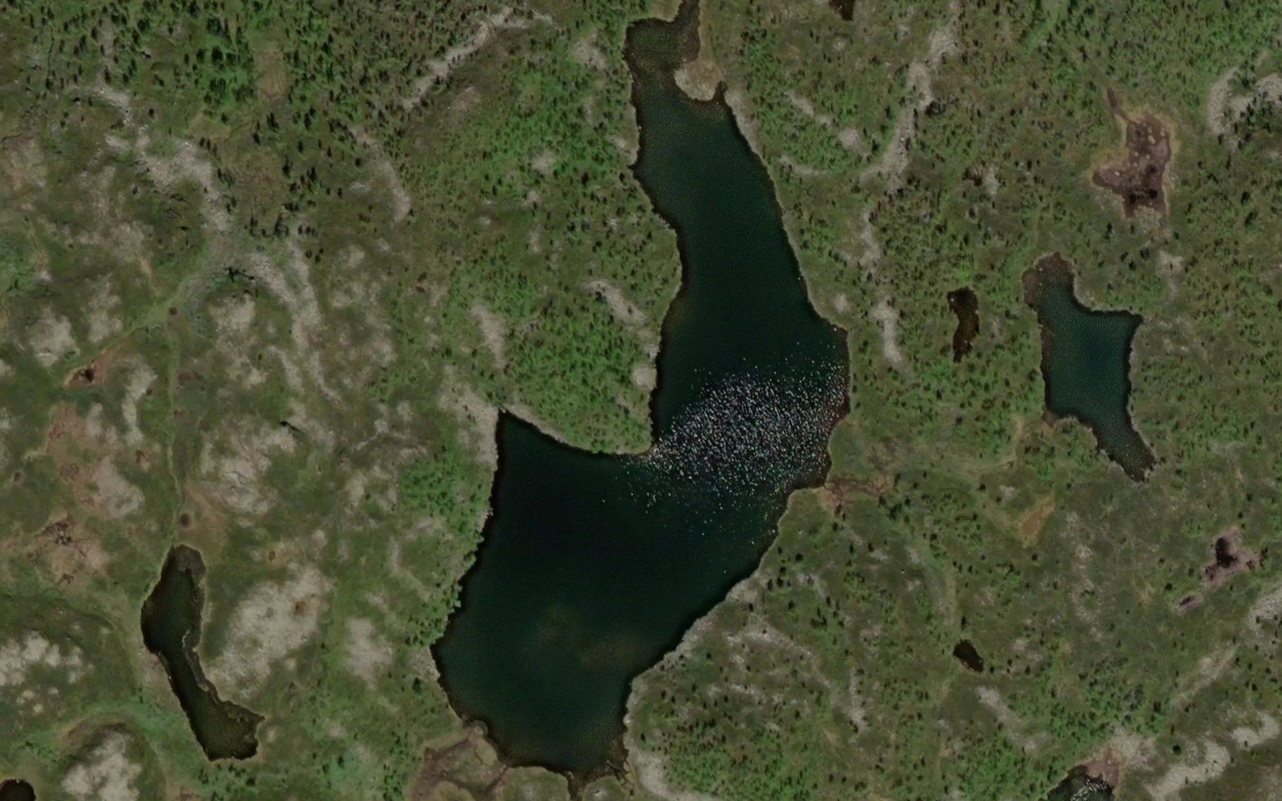 Vedalsbotn