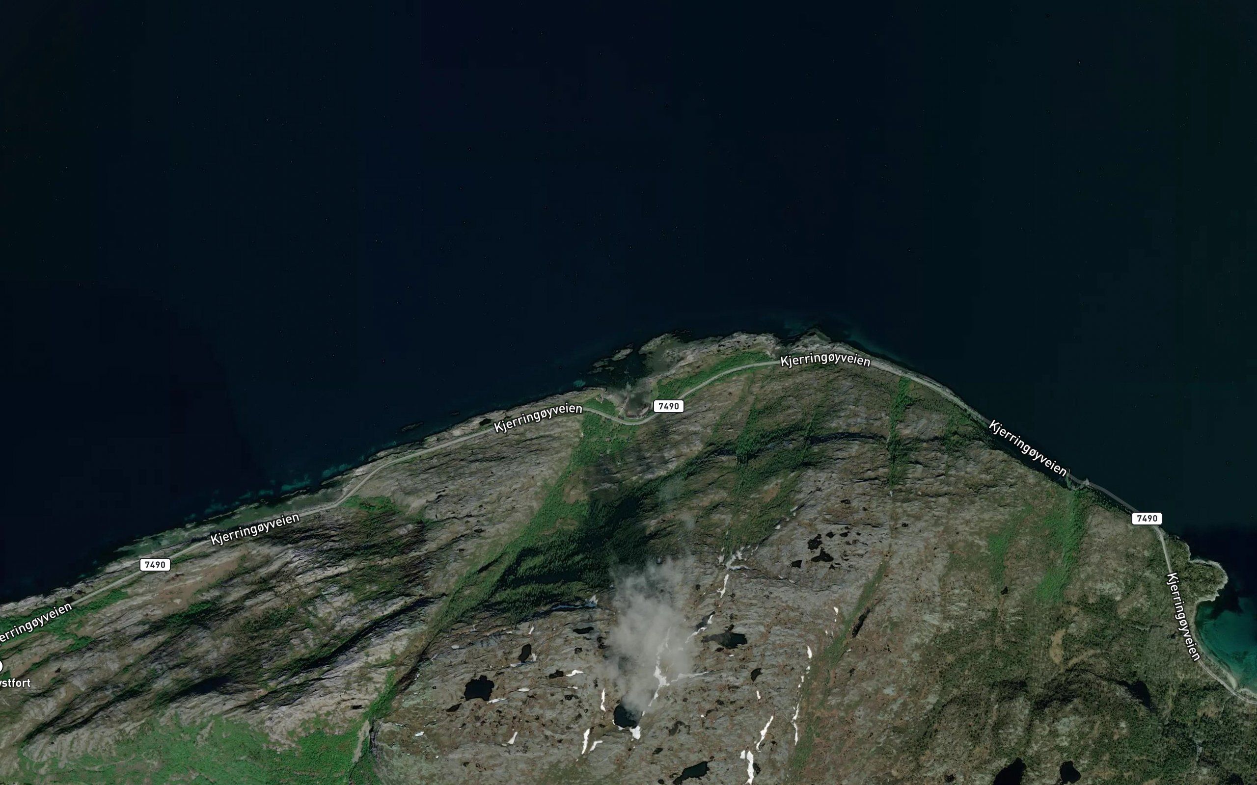 Finnkonevika