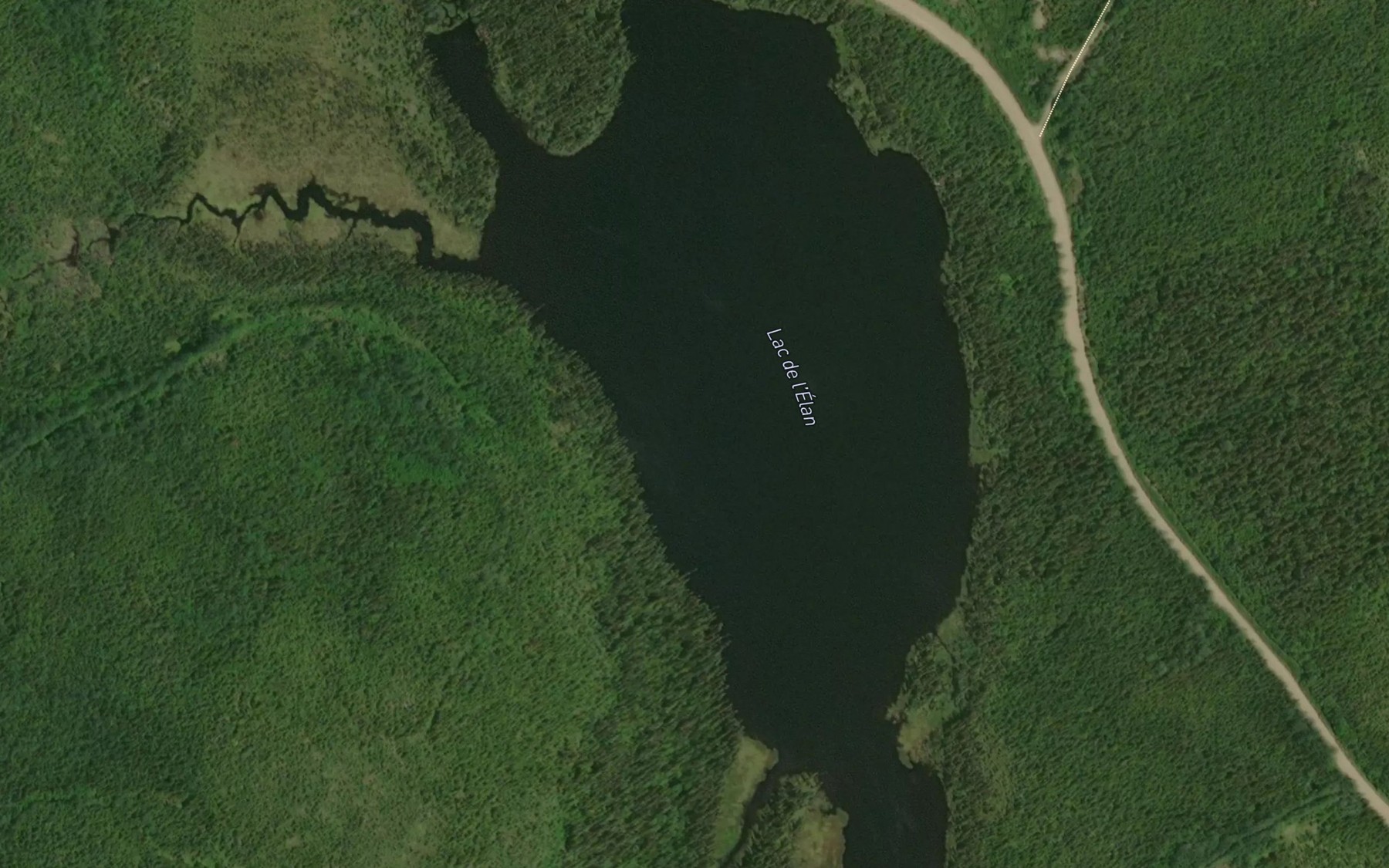 Satellite map of the Lac de l'Elan