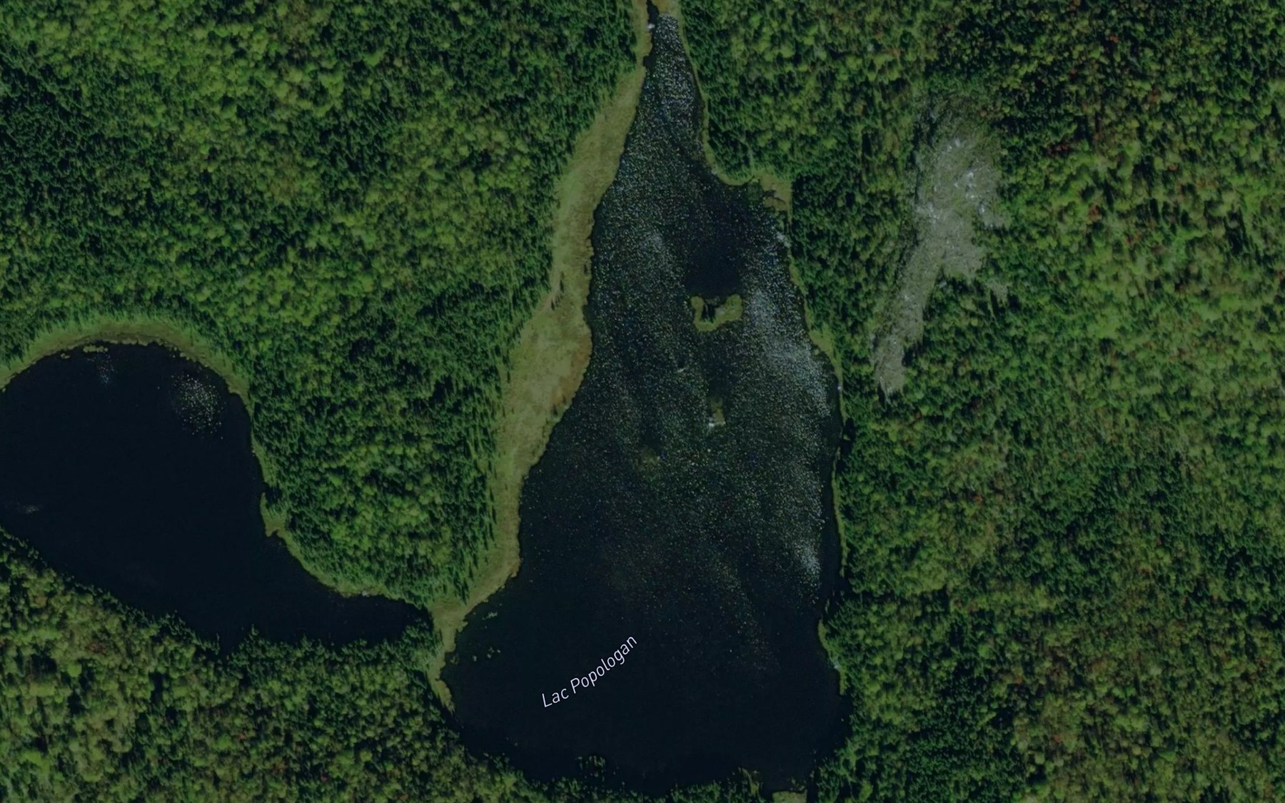 Satellite map of the Lac Popologan