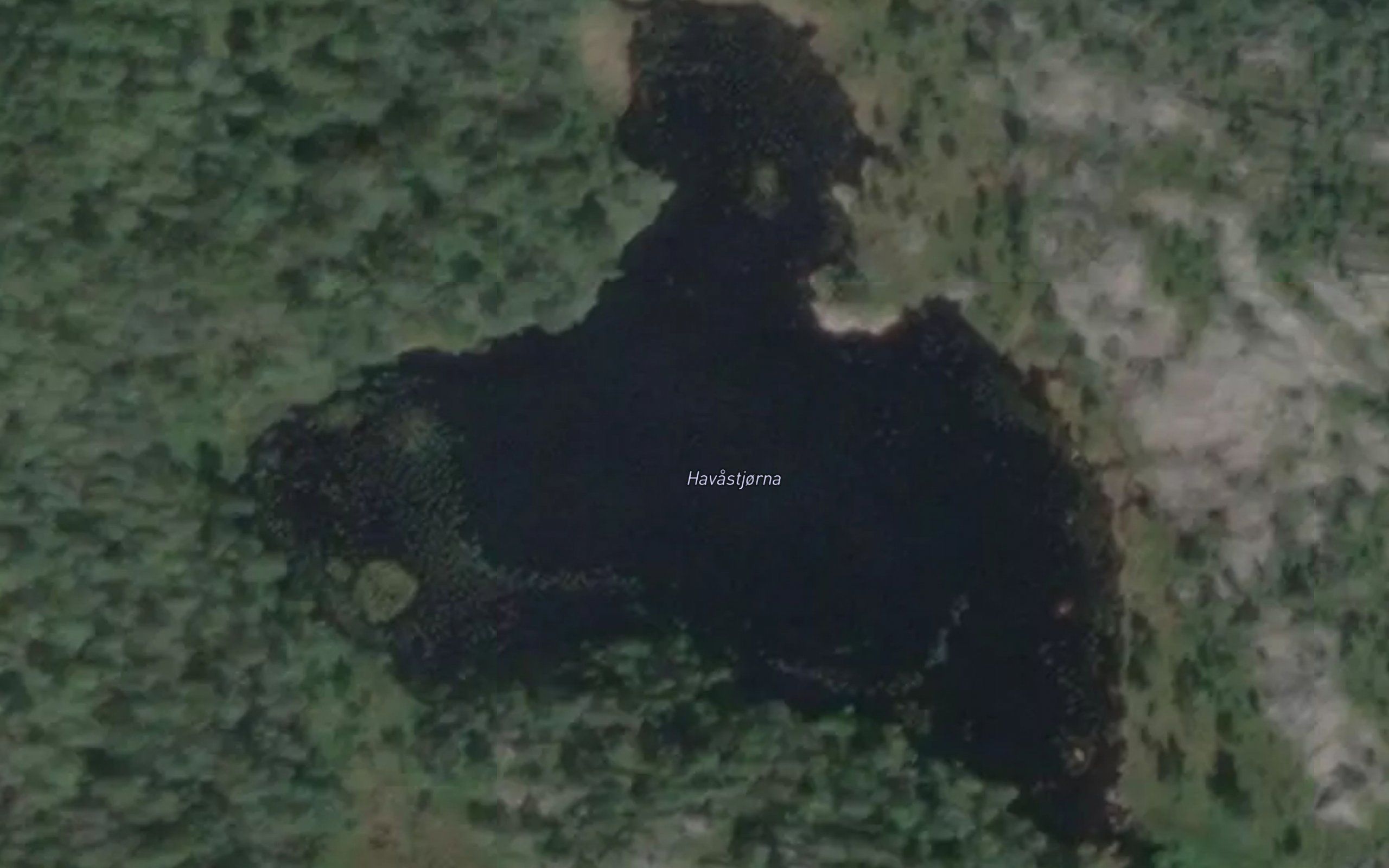 Havastjorna