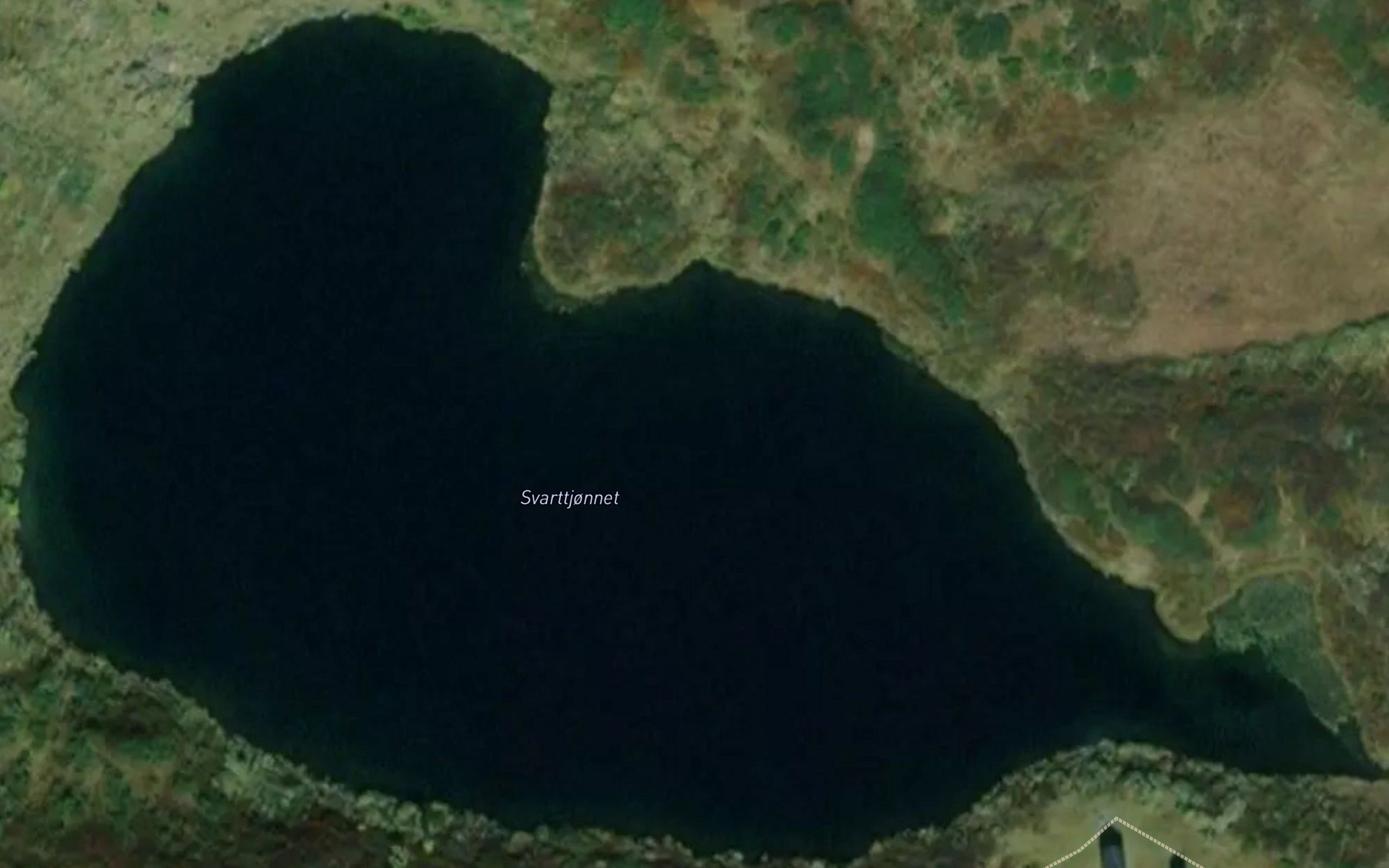 Svarttjernet