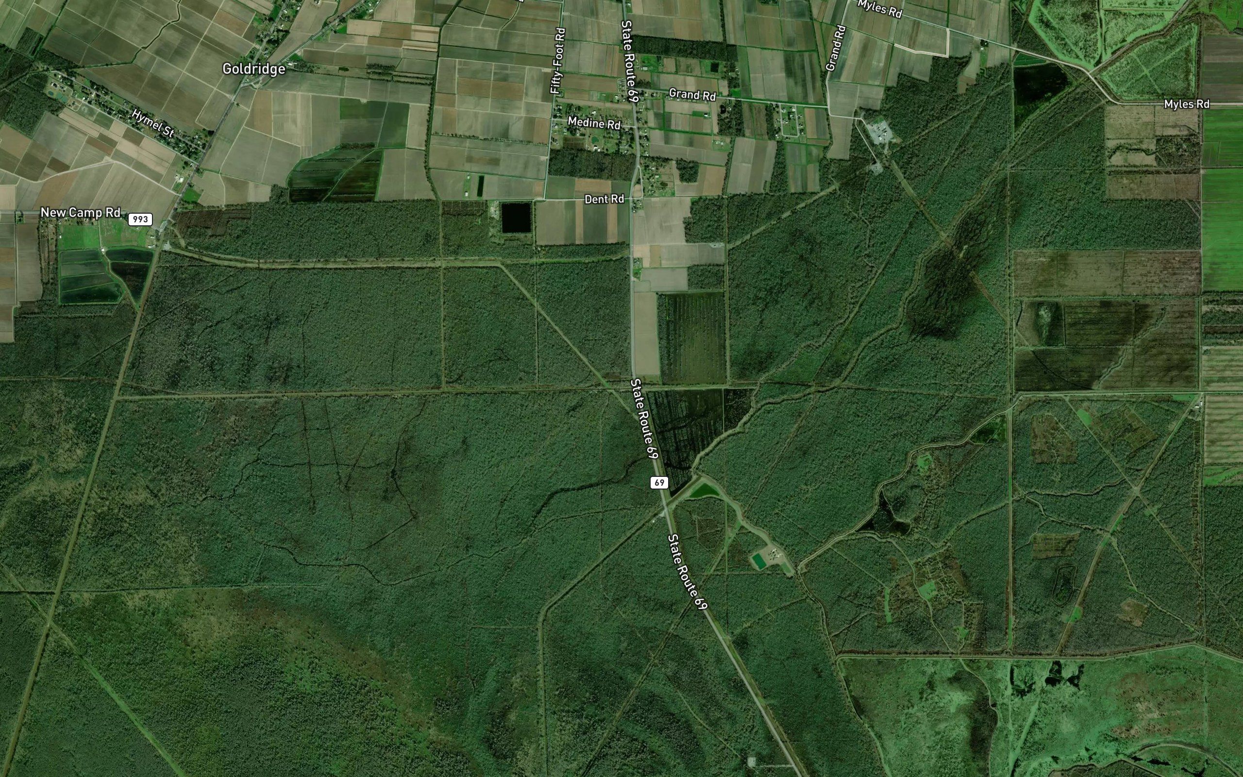False Branch Bayou
