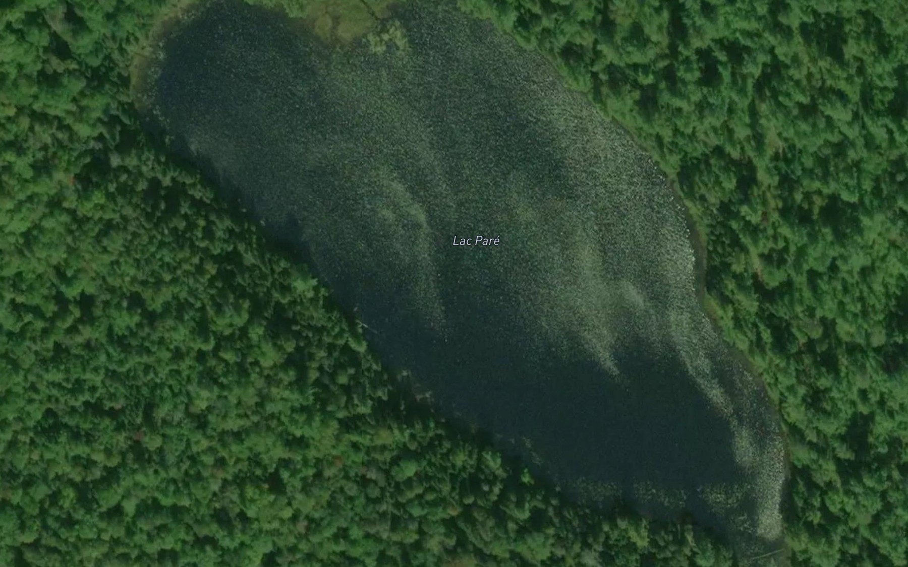 Satellite map of the Lac Pare
