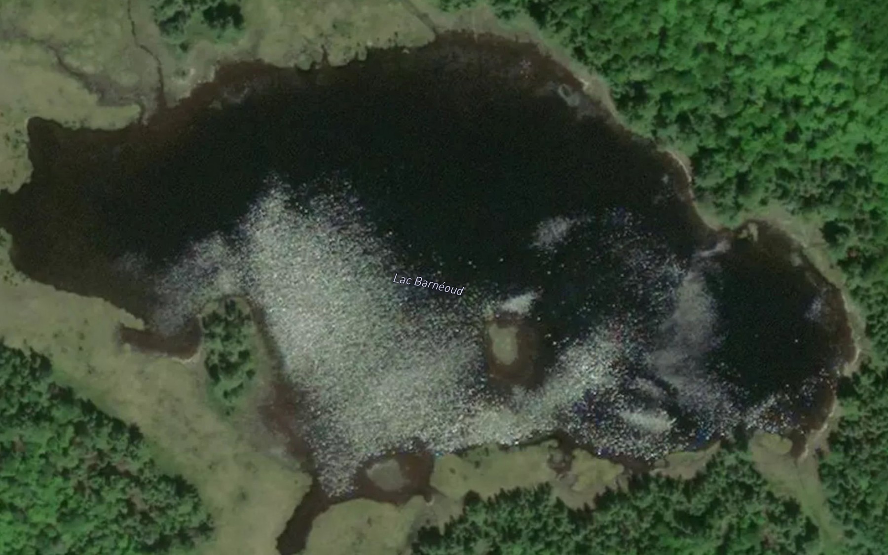 Satellite map of the Lac Barneoud