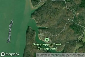 Carp Slough