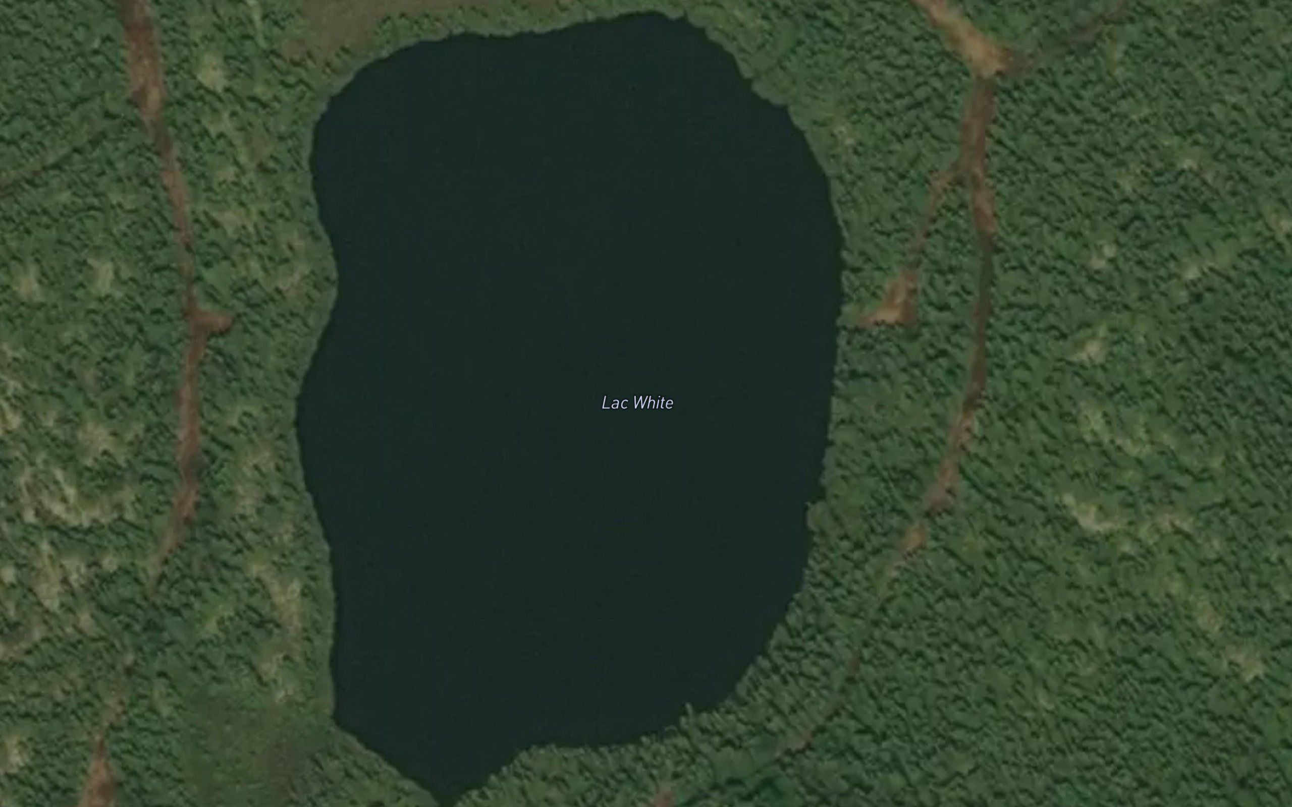 Lac White