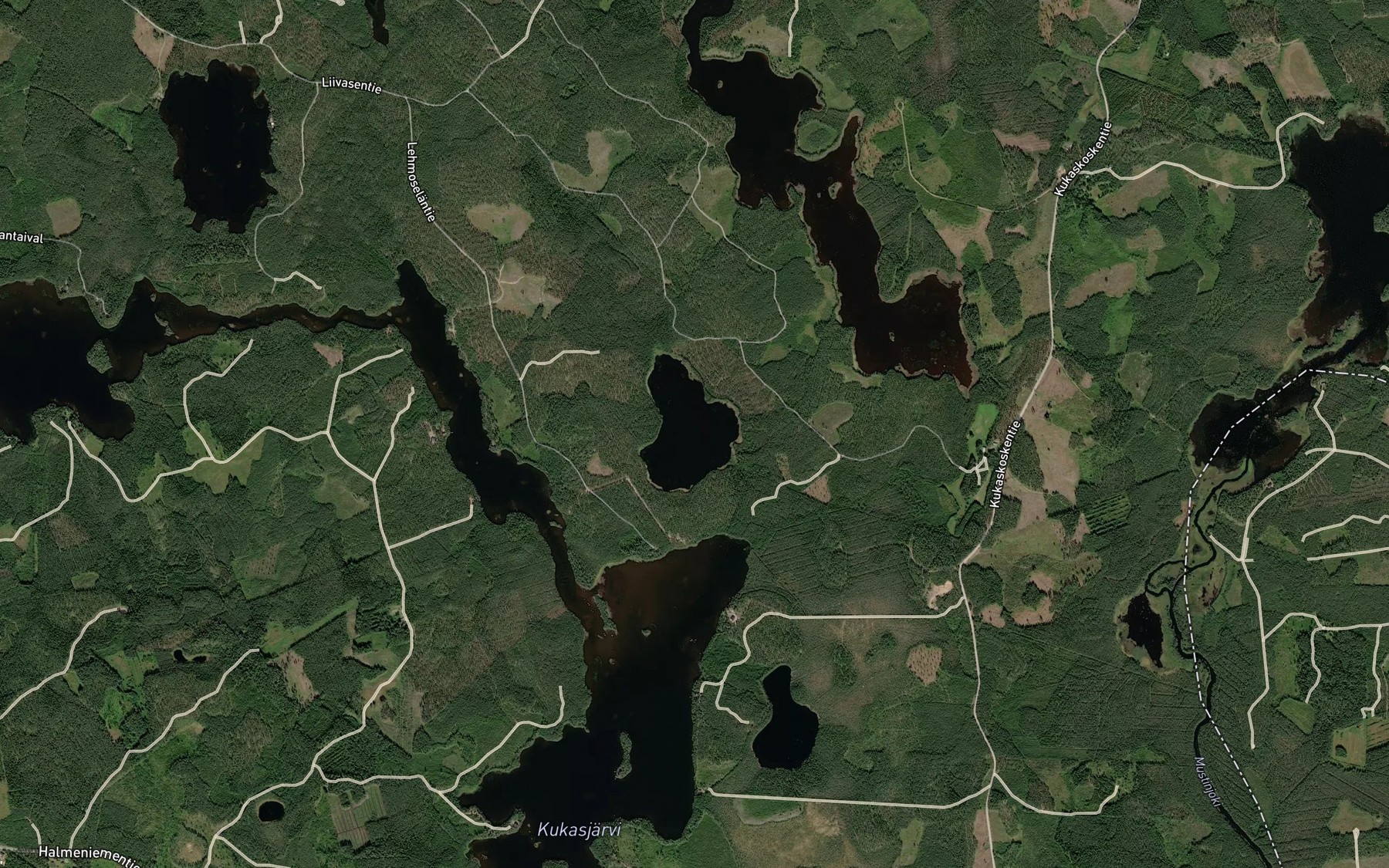 Satellite map of the Liivasenlampi
