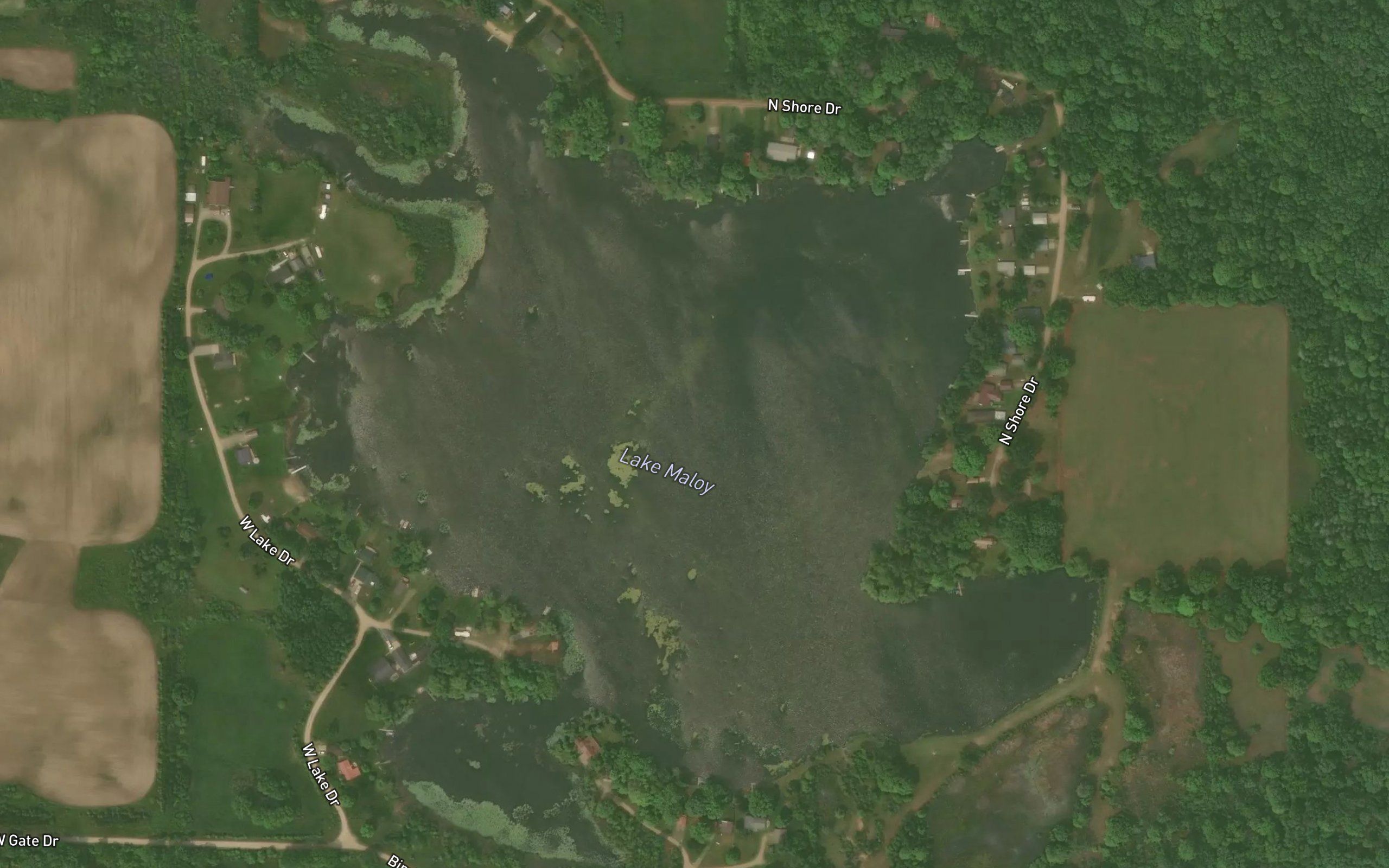Lake Maloy